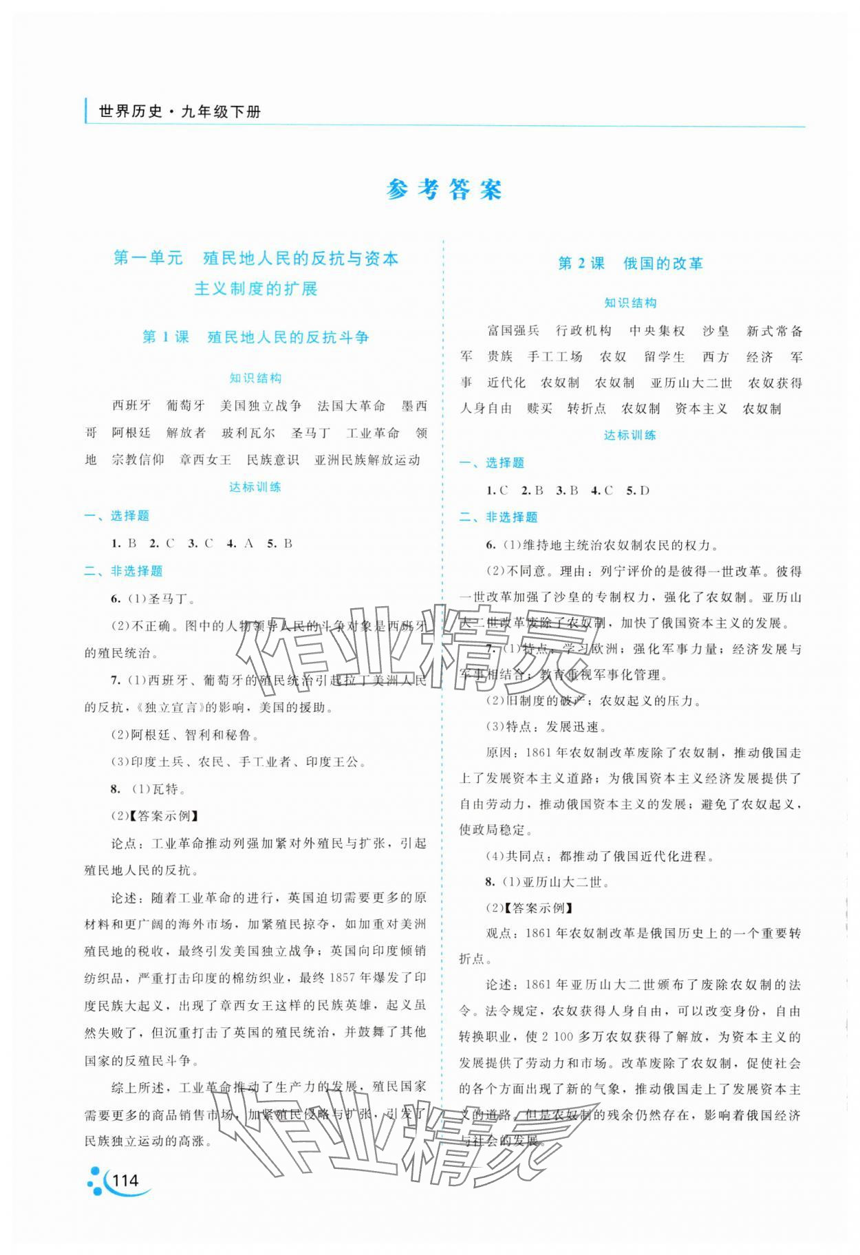 2025年新課程復習與提高九年級歷史下冊人教版 參考答案第1頁