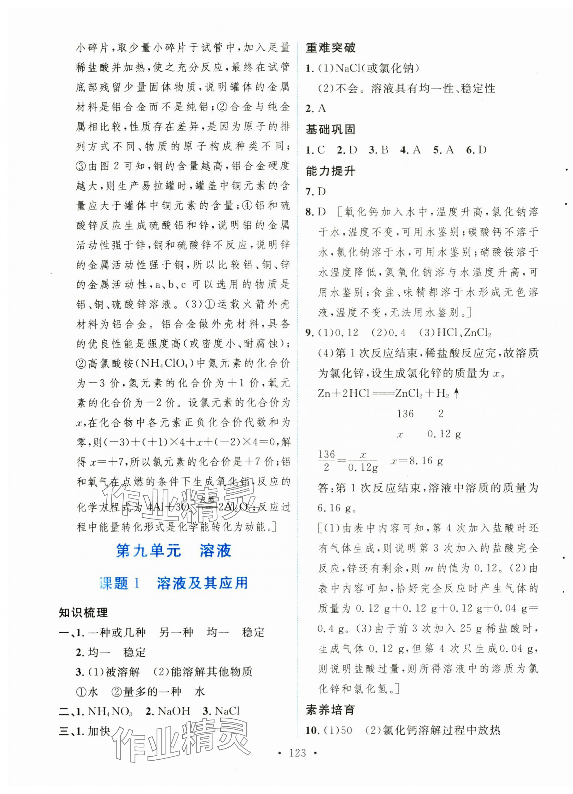 2025年實驗教材新學(xué)案九年級化學(xué)下冊人教版 第9頁