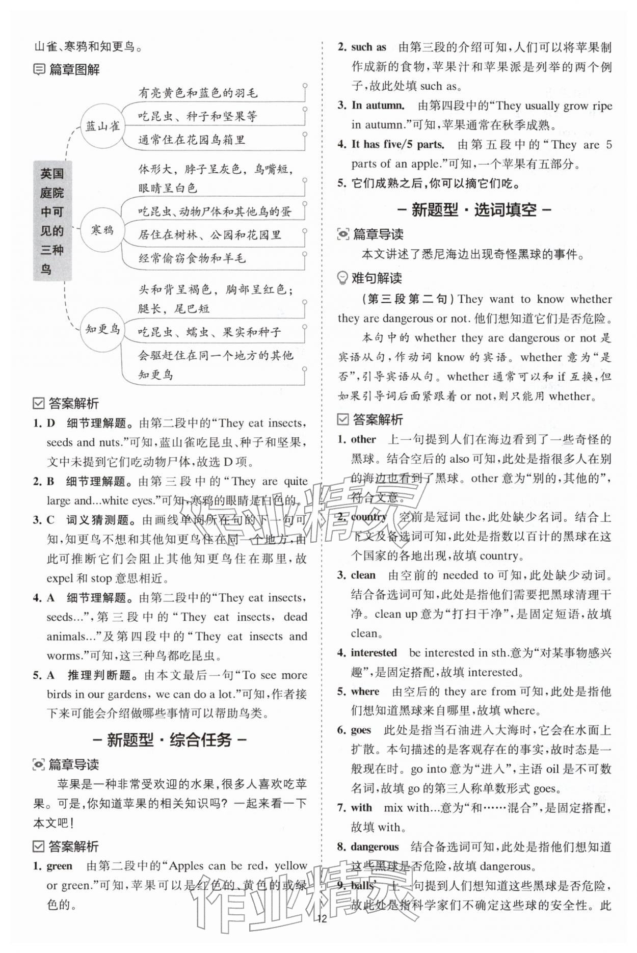 2025年星火英语Spark巅峰训练完形填空与阅读理解七年级 参考答案第12页