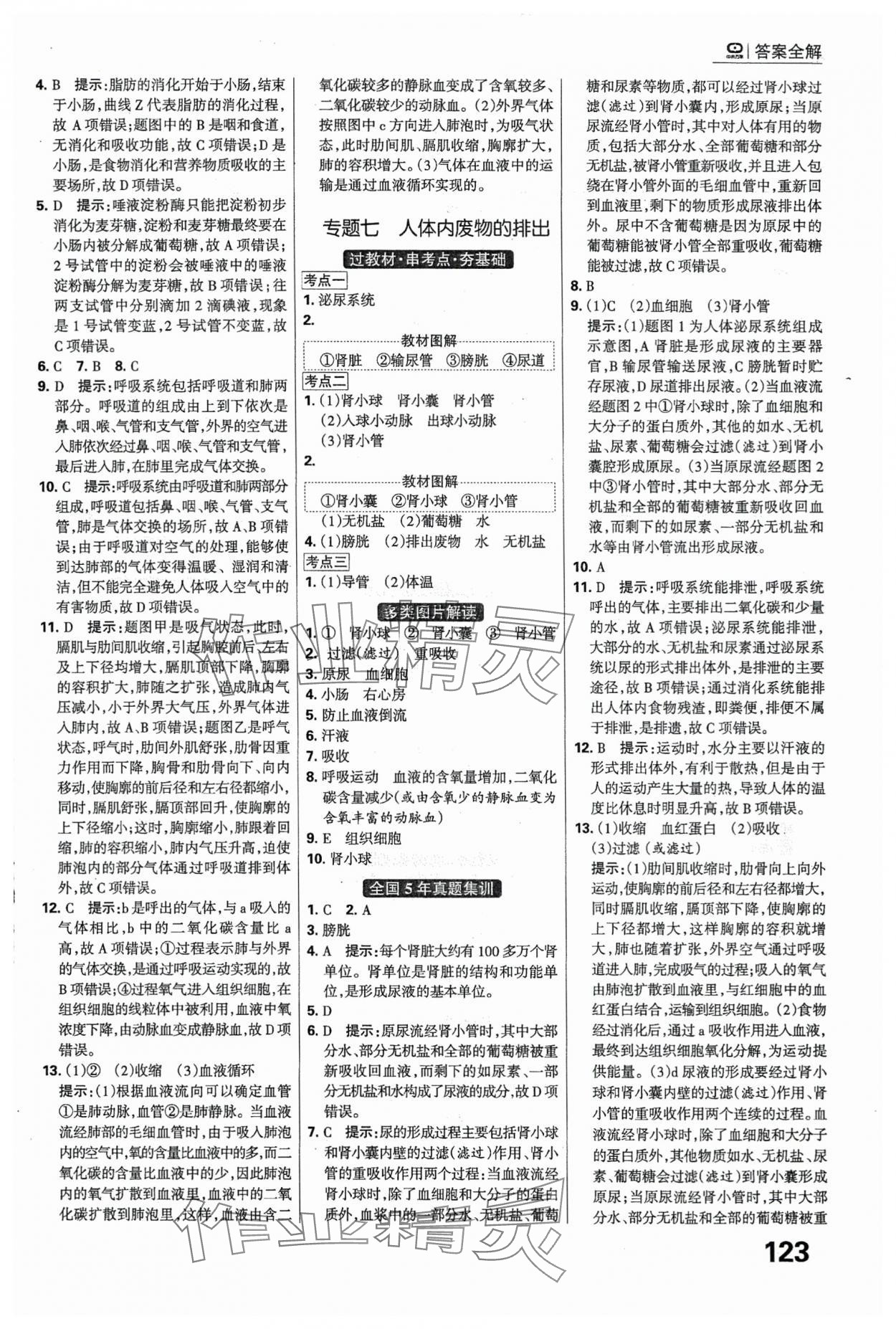 2024年全優(yōu)中考系統(tǒng)總復(fù)習(xí)生物河北專(zhuān)版 第5頁(yè)