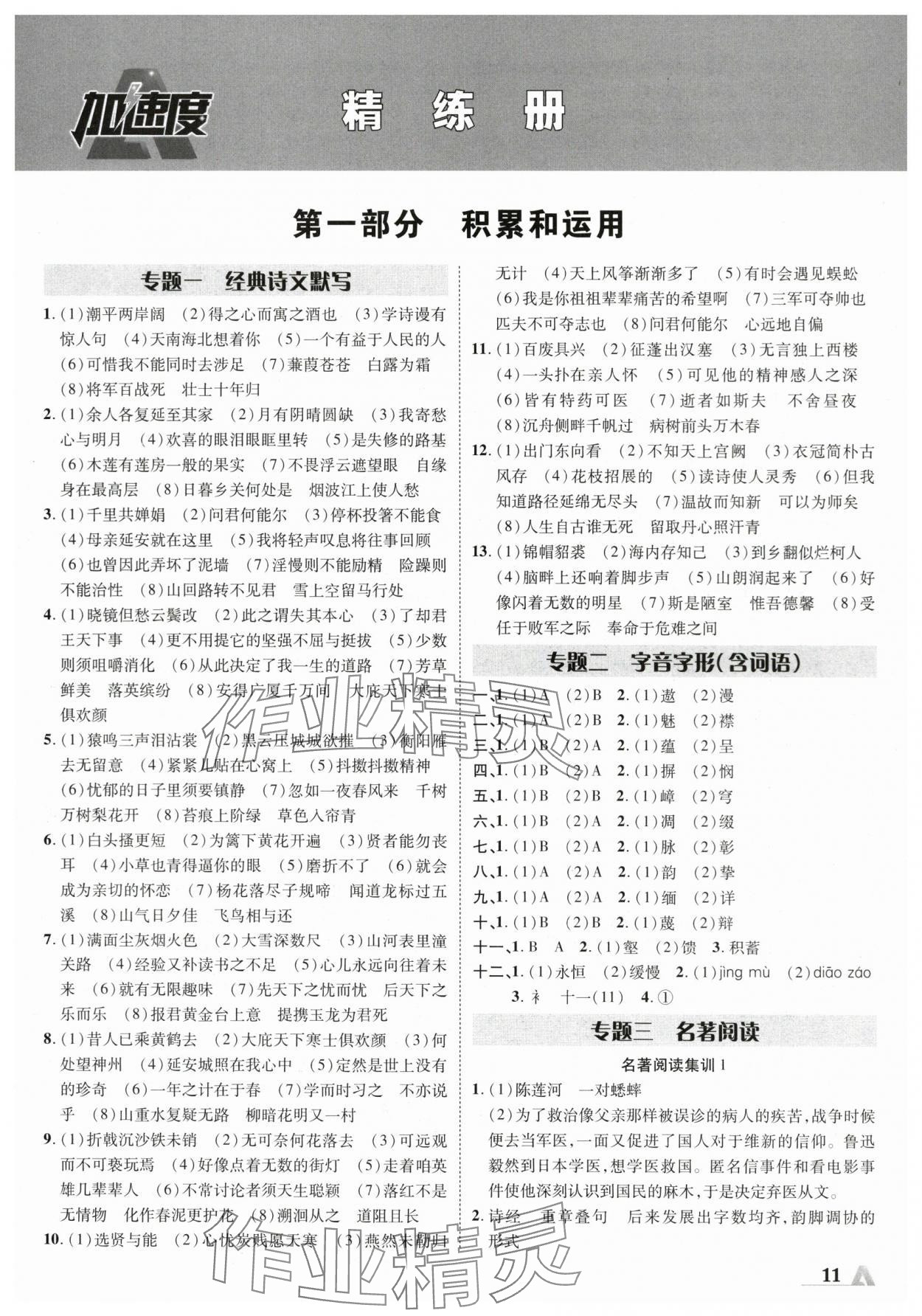 2024年卓文書業(yè)加速度語文人教版陜西專版 參考答案第10頁