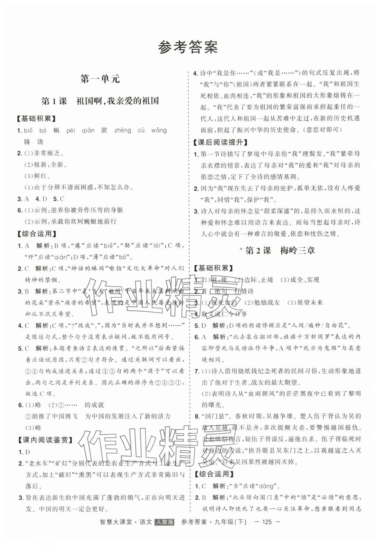 2024年初中新课标名师学案智慧大课堂九年级语文下册人教版 第1页