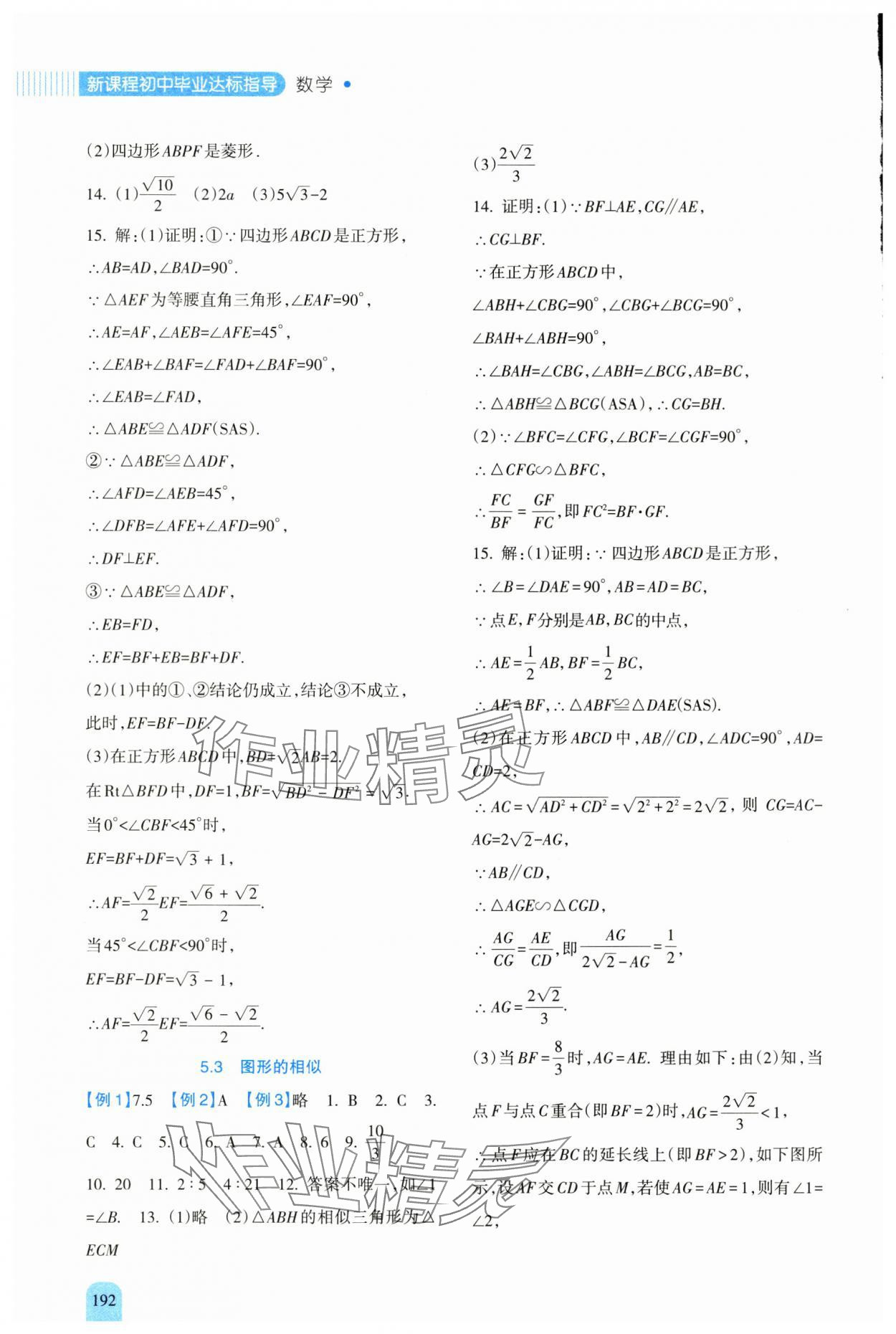 2025年新课程初中毕业达标指导中考数学 参考答案第8页