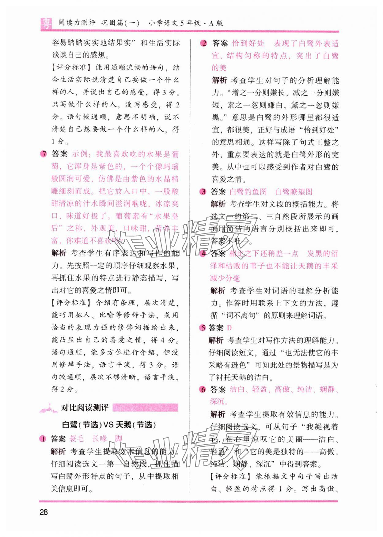 2023年木頭馬閱讀力測(cè)評(píng)小學(xué)語(yǔ)文五年級(jí)人教版培優(yōu)篇A版廣東專(zhuān)版 參考答案第13頁(yè)