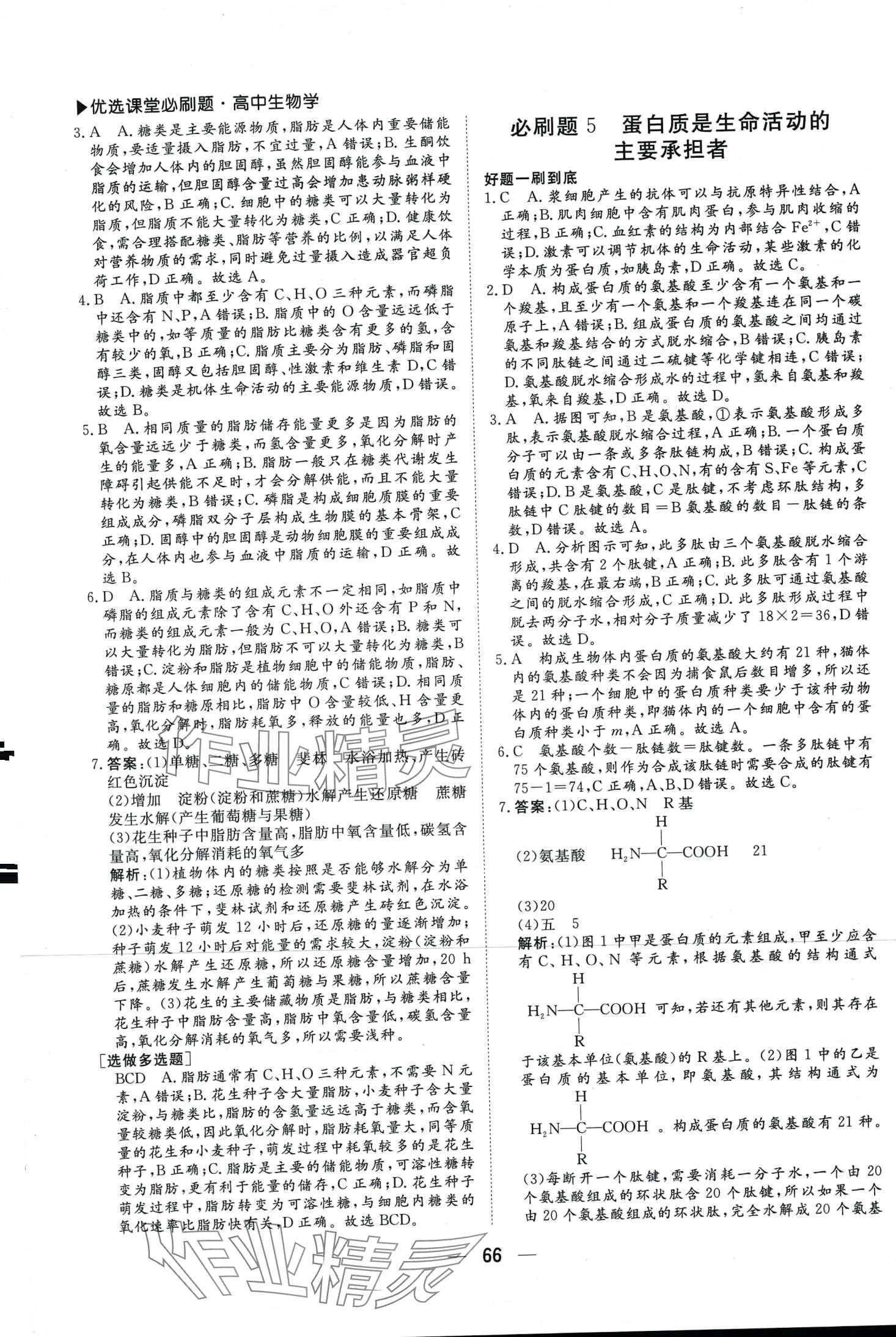 2024年優(yōu)選課堂必刷題高一生物學(xué) 第3頁