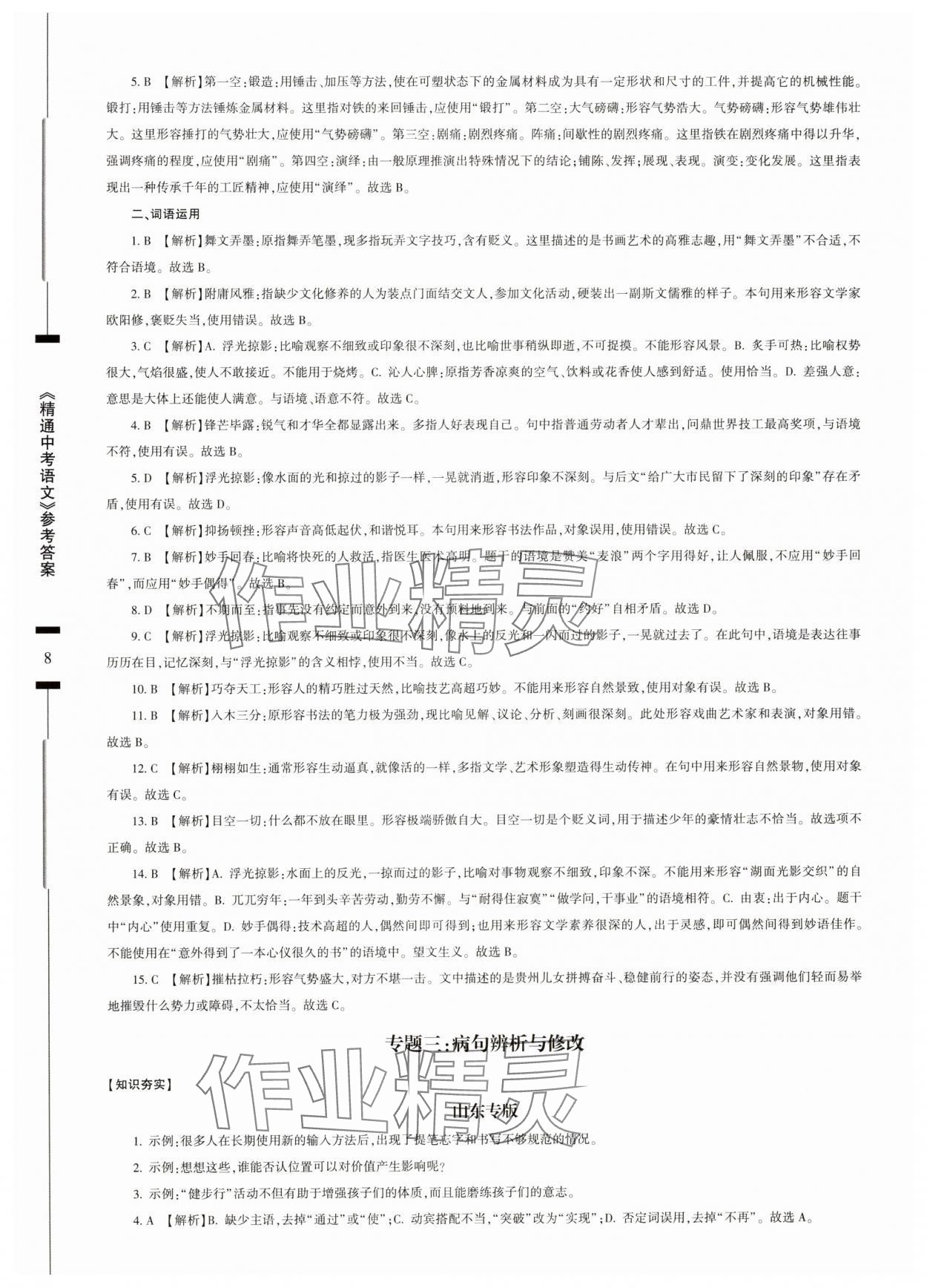 2025年精通中考語文基礎(chǔ)知識(shí)與試卷訓(xùn)練 參考答案第8頁