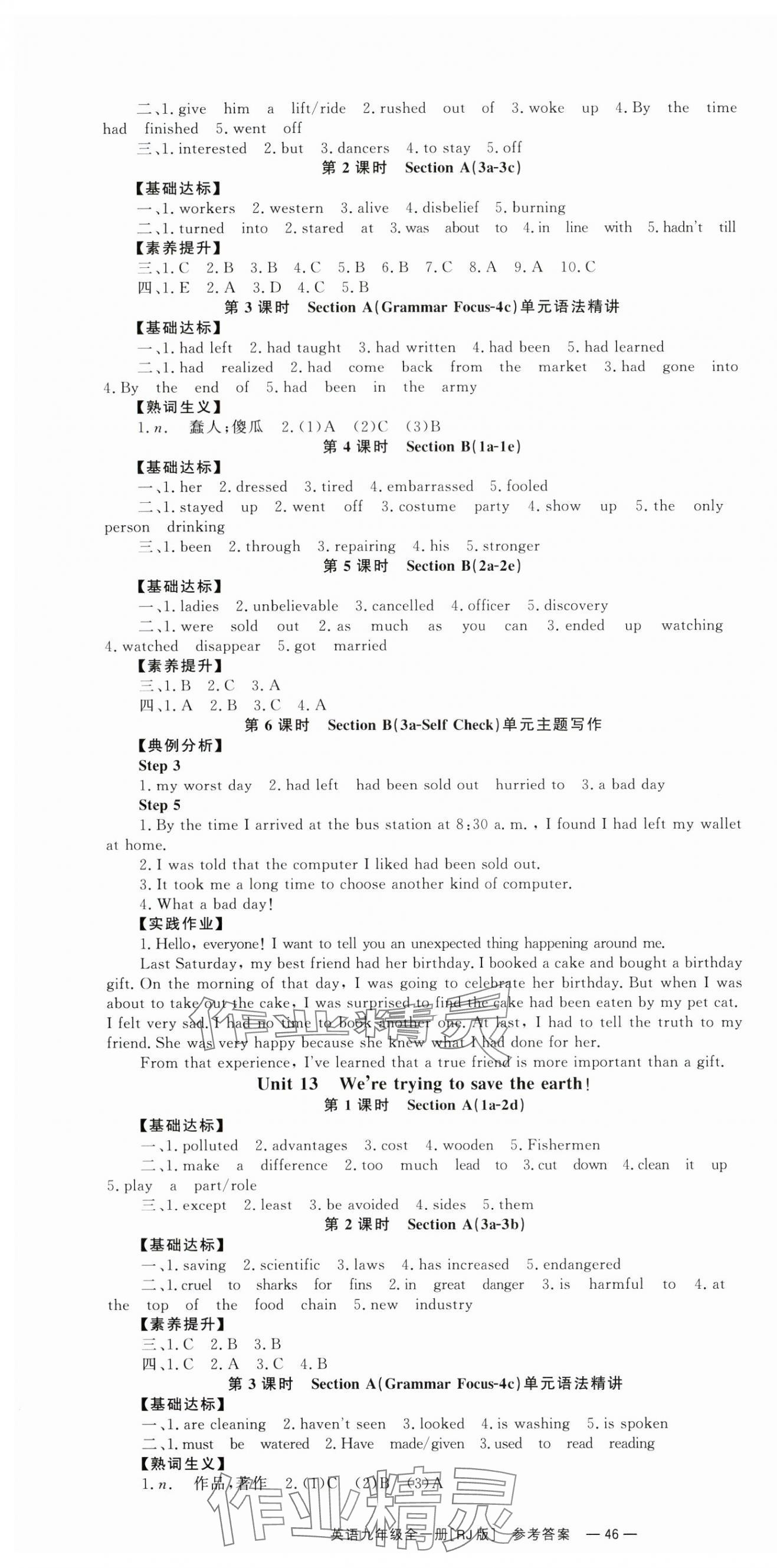 2024年全效學(xué)習(xí)同步學(xué)練測(cè)九年級(jí)英語全一冊(cè)人教版 第10頁