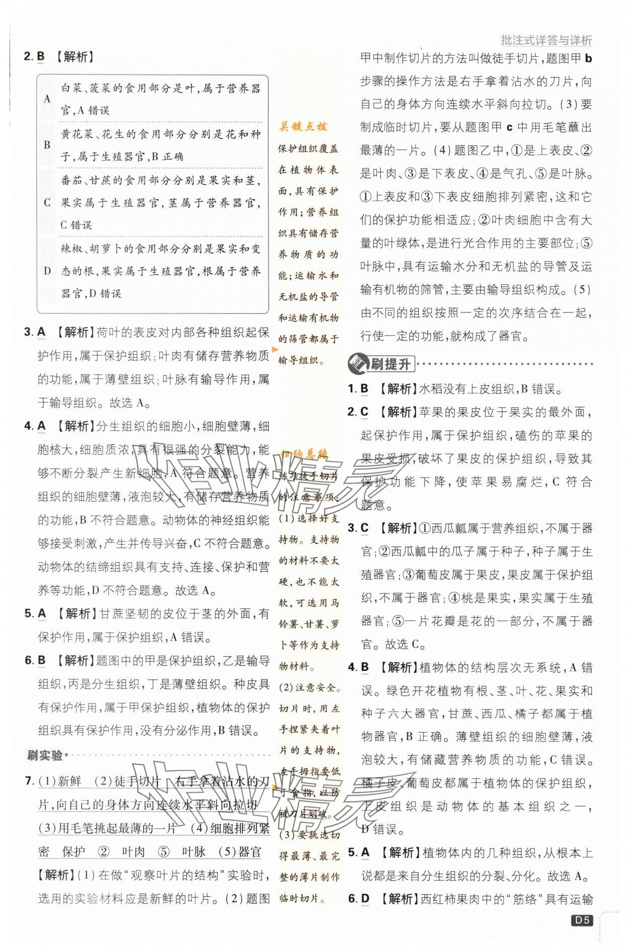 2024年初中必刷題七年級生物下冊蘇教版 第5頁