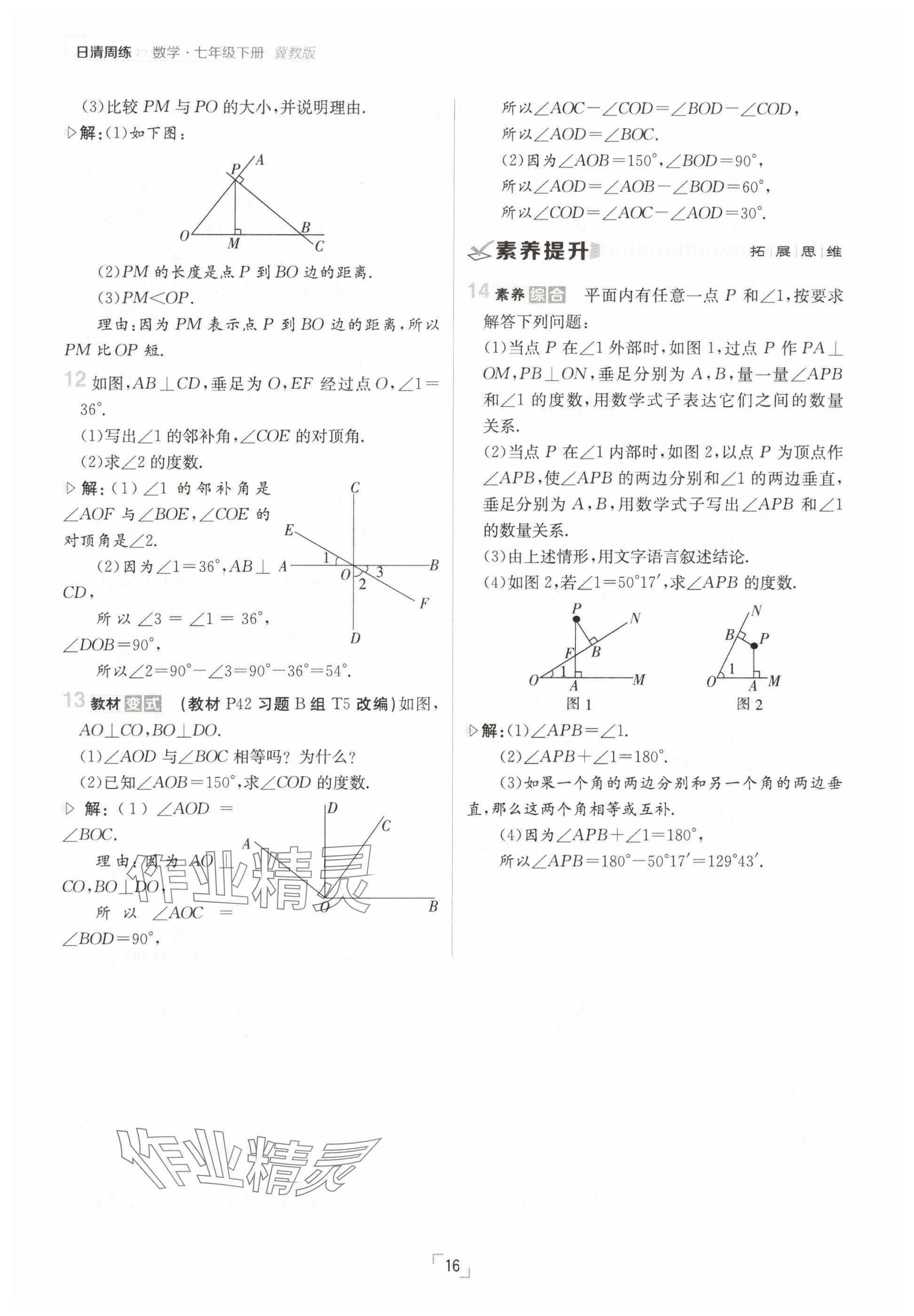 2025年日清周練七年級數(shù)學下冊冀教版 參考答案第16頁