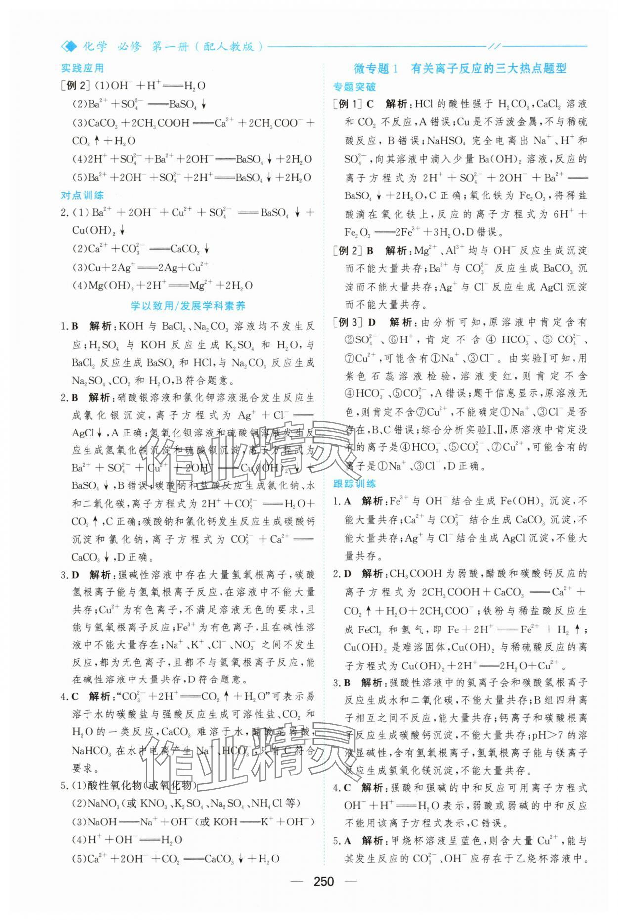 2025年新课程学习与测评高中化学必修第一册人教版&nbsp;参考答案第5页