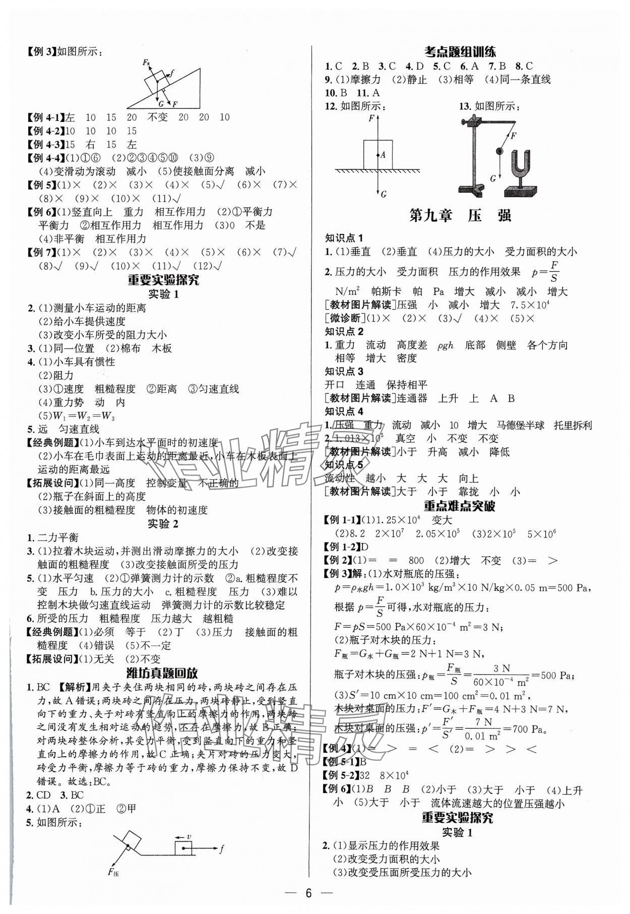 2024年中考對策物理濰坊專版 參考答案第6頁