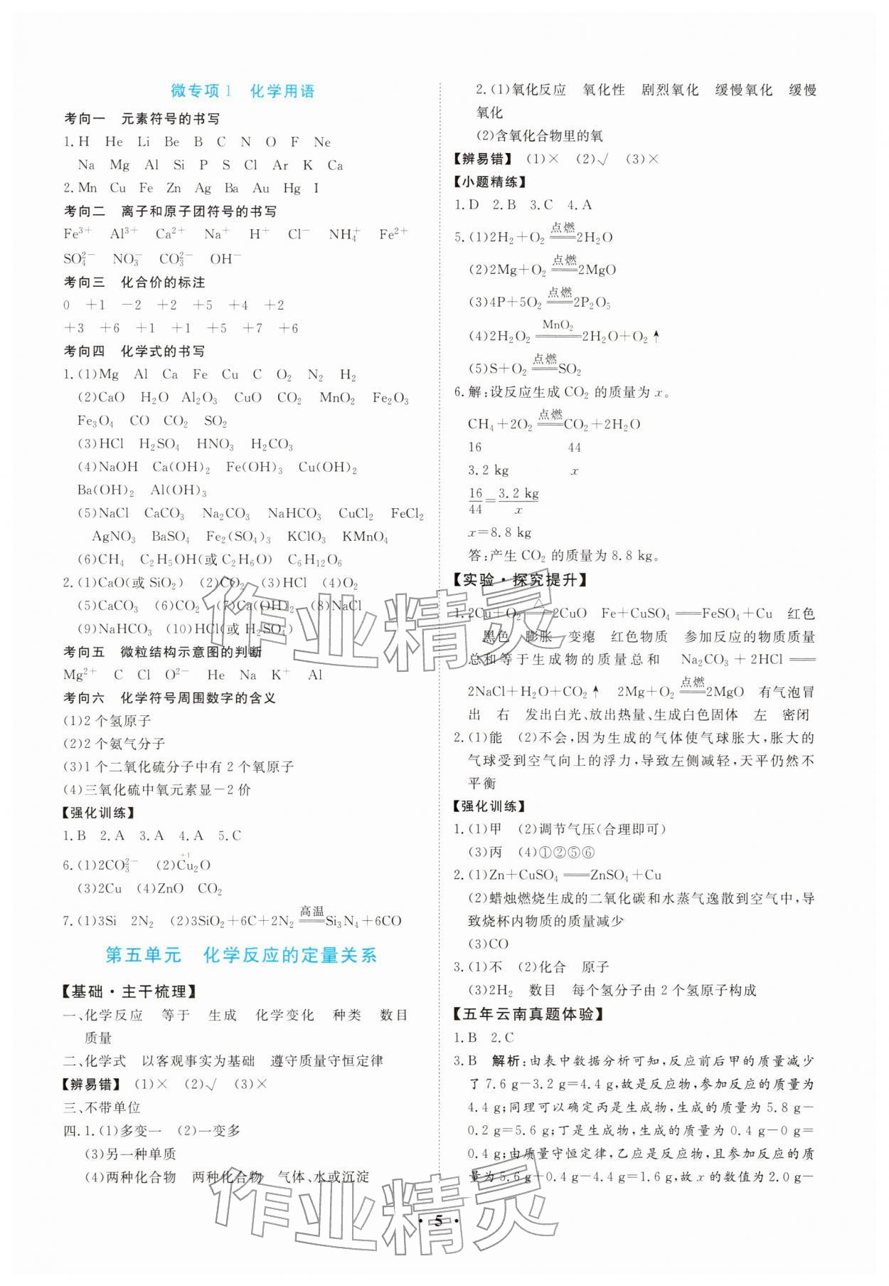2026年初中总复习一本通化学云南专版&nbsp;第5页