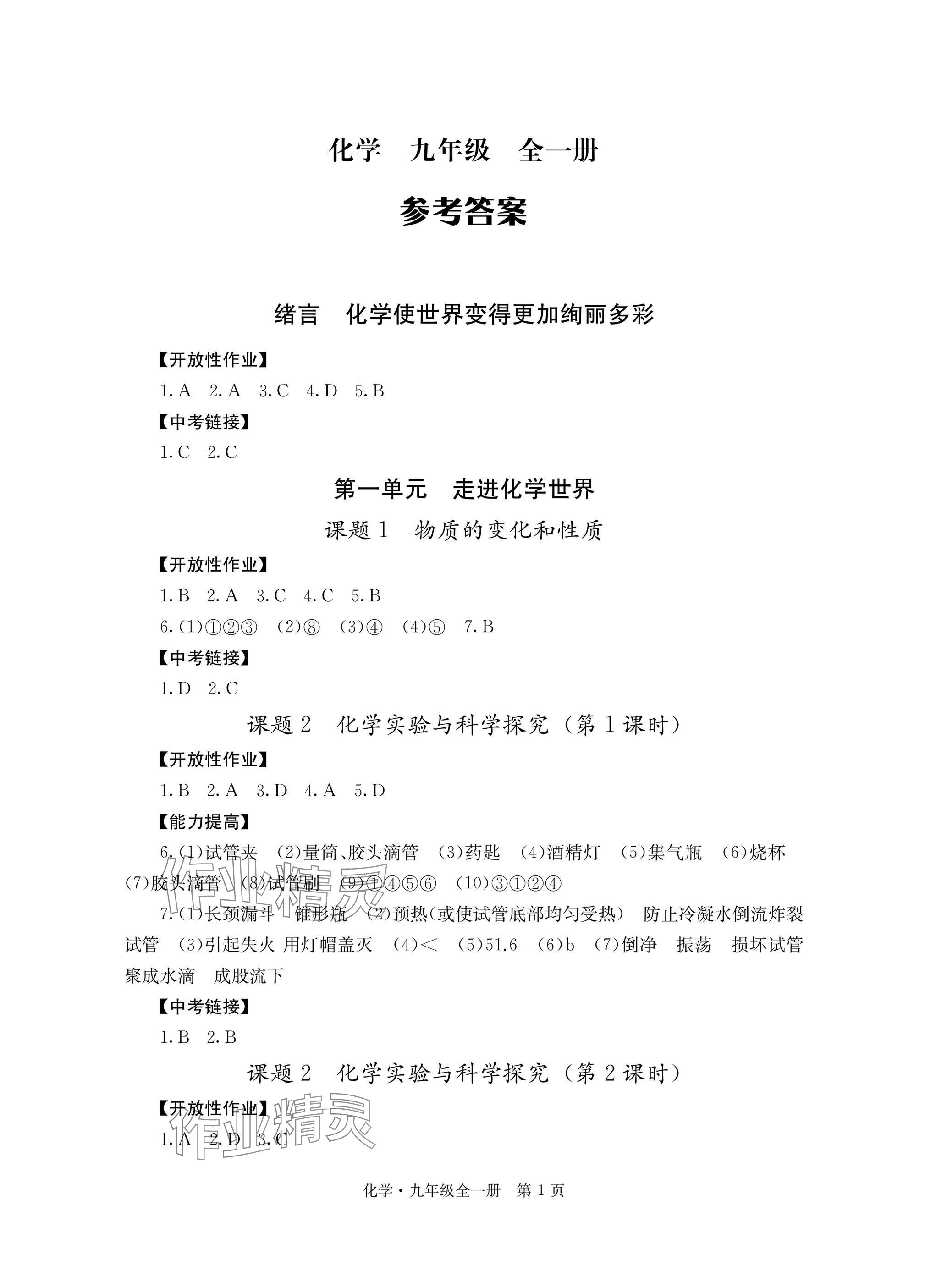 2025年自主学习指导课程与测试九年级化学全一册人教版 参考答案第1页