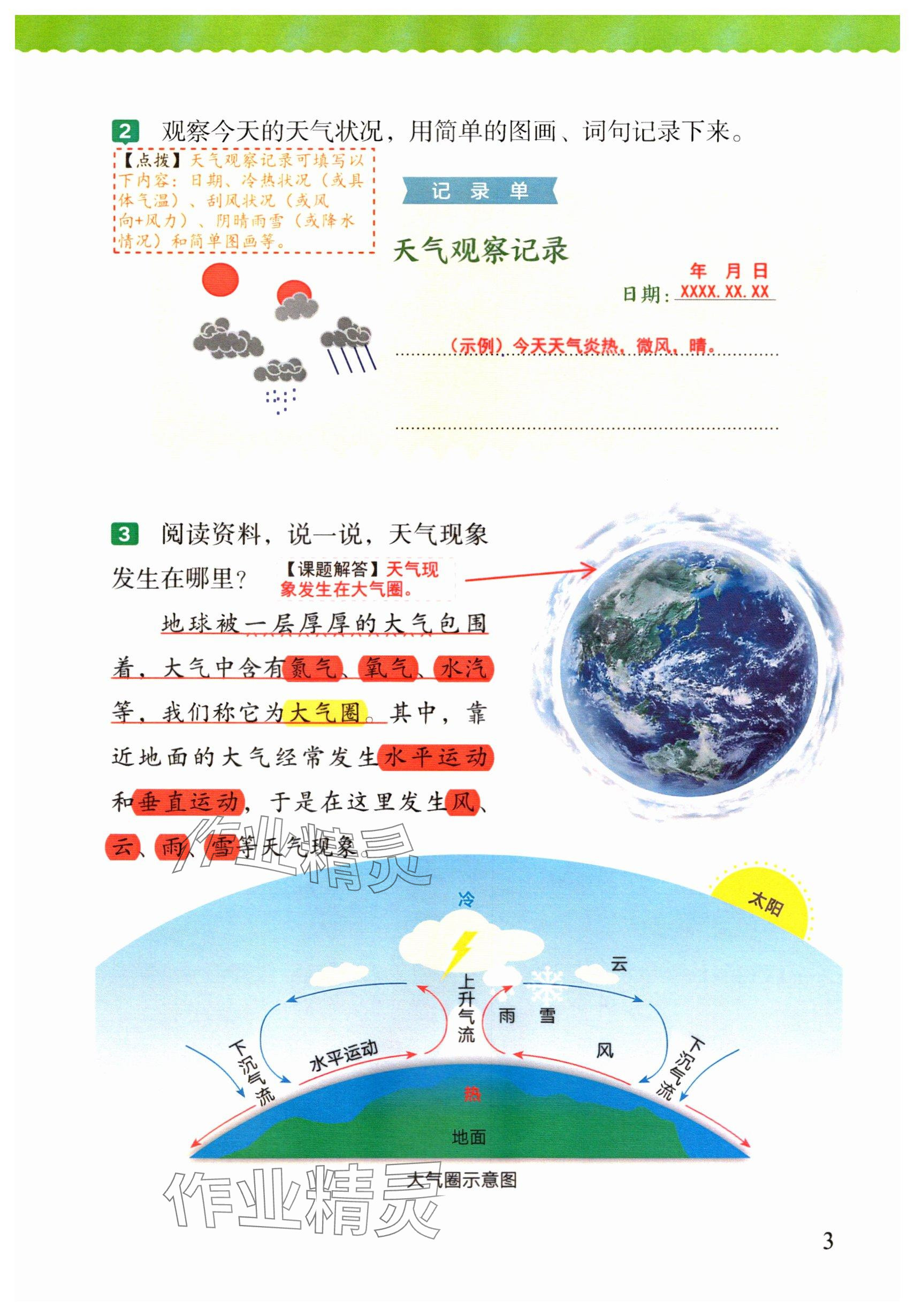 2025年教材课本三年级科学上册教科版 参考答案第2页