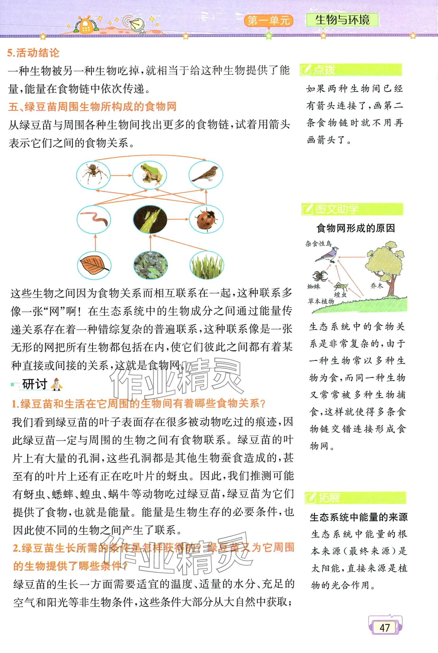 2024年教材課本五年級科學(xué)下冊教科版 第47頁