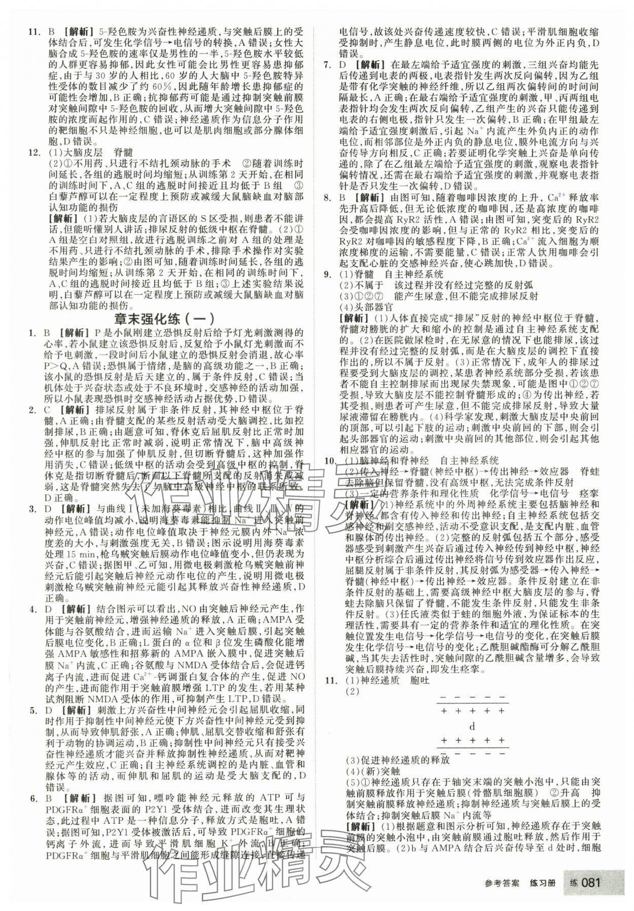 2025年全品學練考生物選擇性必修1人教版 第7頁