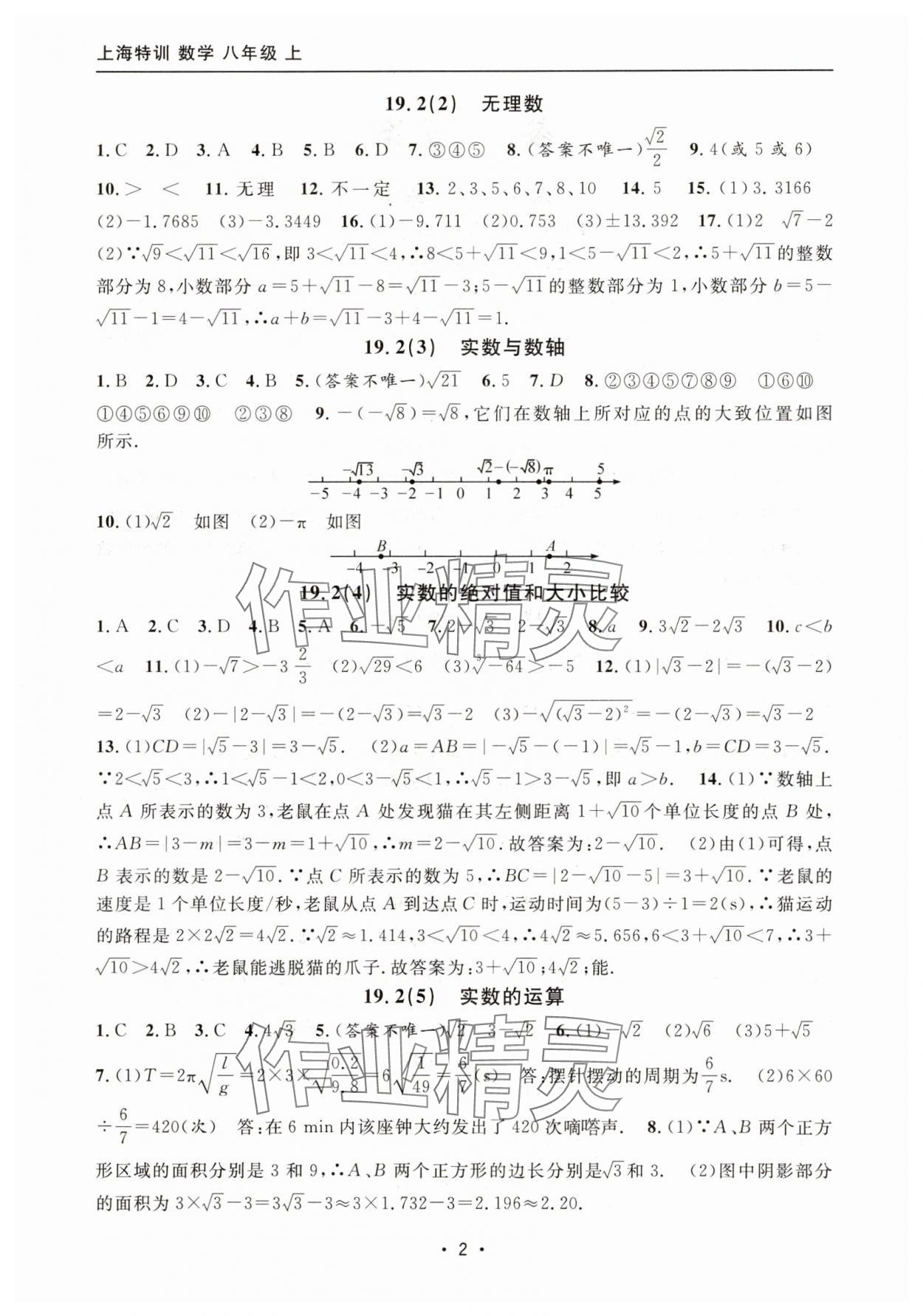 2025年上海特训八年级数学上册沪教版54制 参考答案第2页