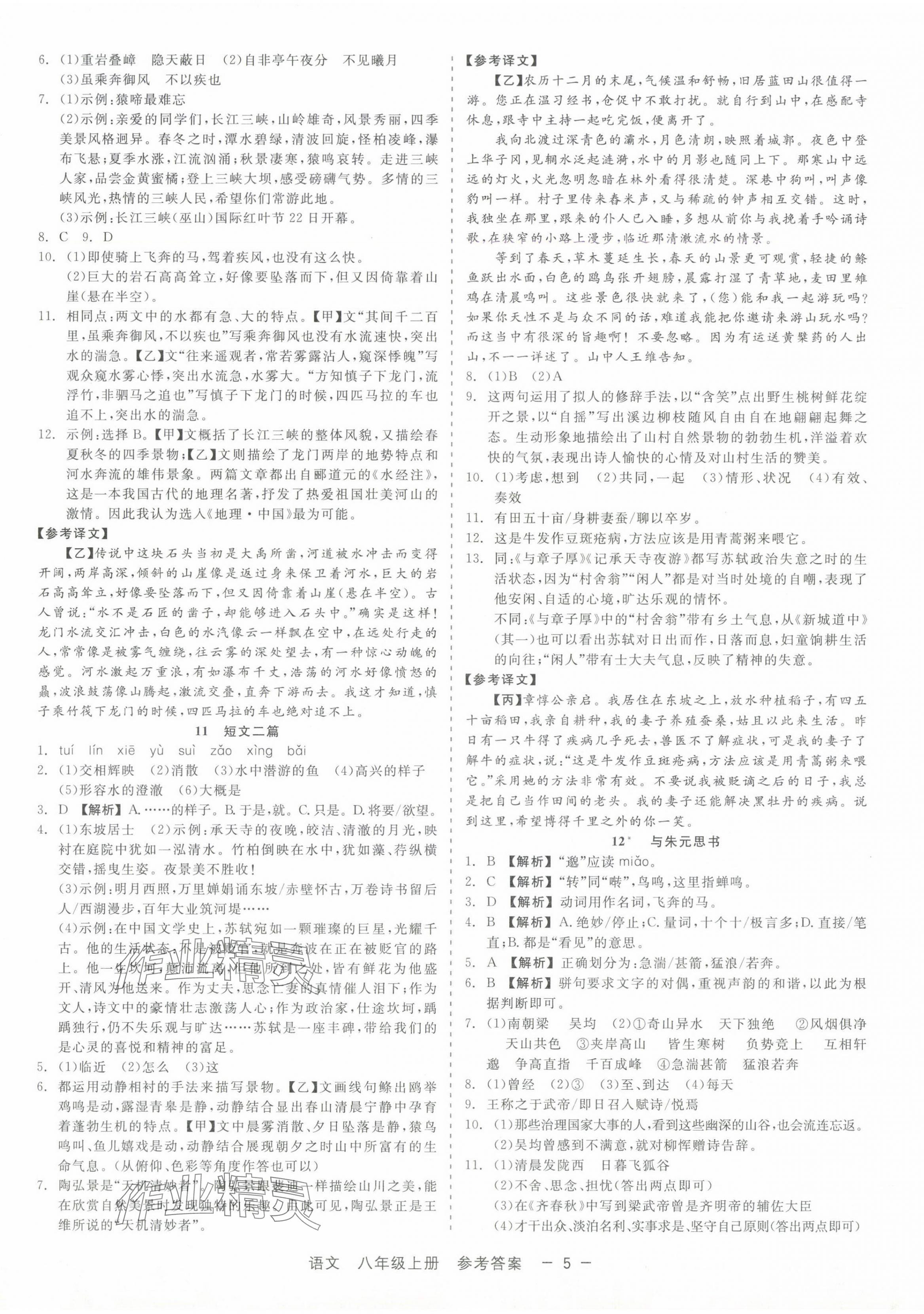 2024年精彩三年就練這一本八年級語文上冊人教版 第5頁