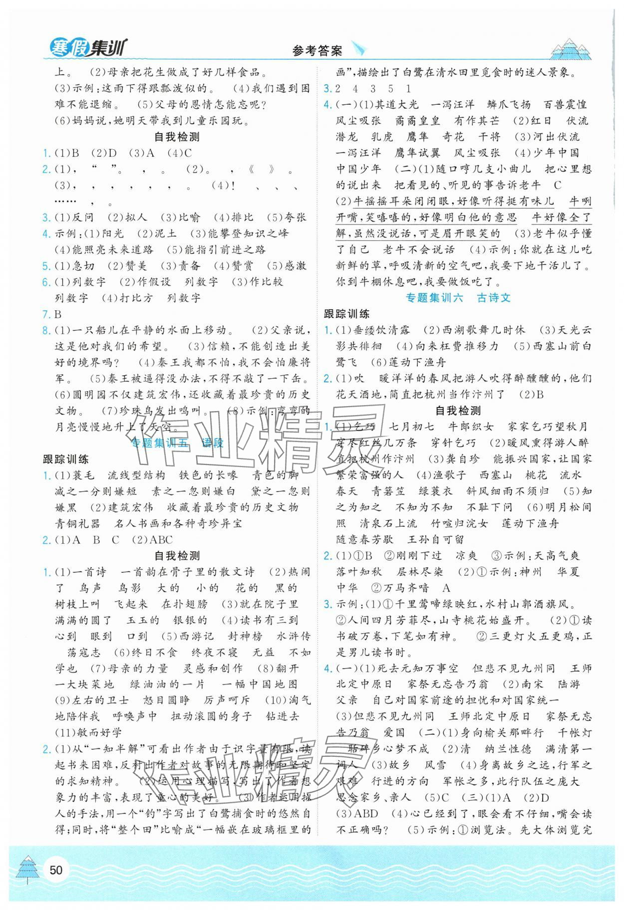 2025年寒假集训五年级语文人教版合肥工业大学出版社 第2页