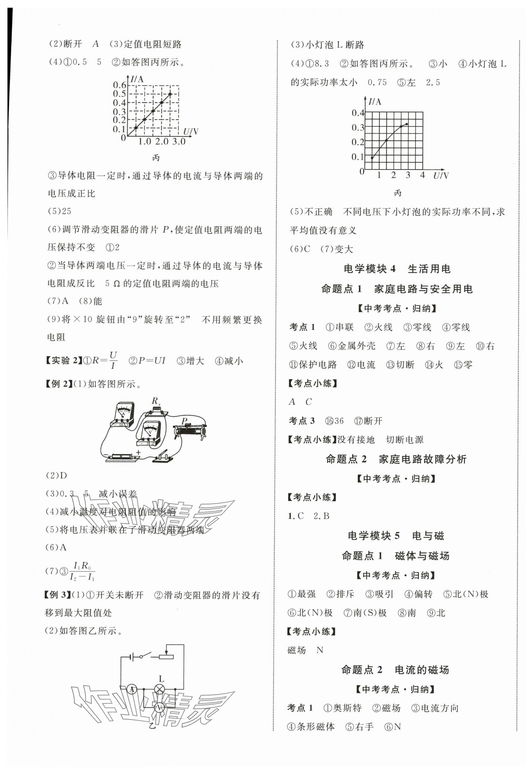 2025年初中新課標全程復習方略物理 第9頁