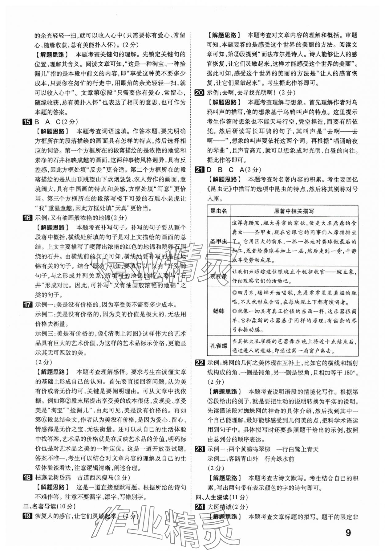 2024年金考卷45套匯編語文湖北專版 第9頁