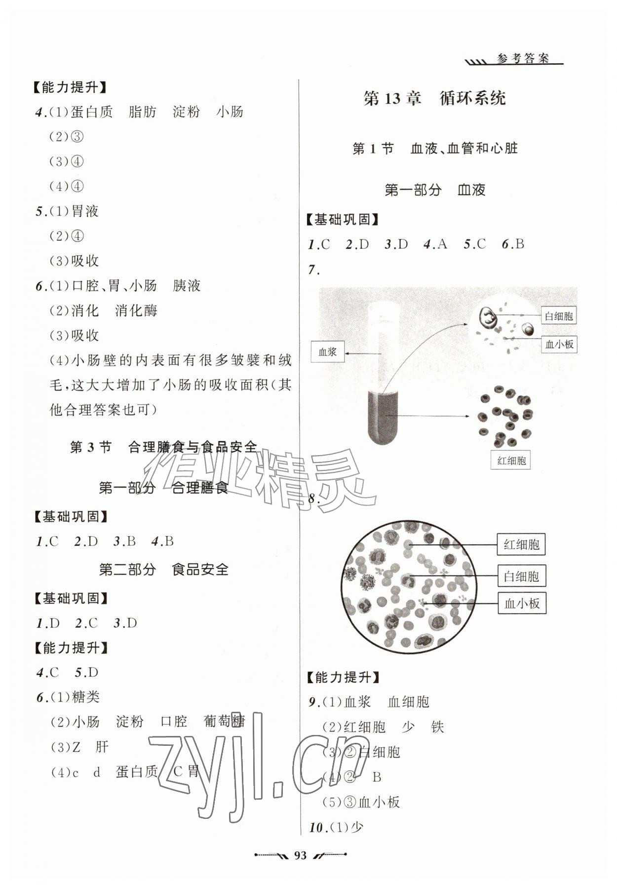 2026年新课程新教材导航学八年级生物上册苏教版&nbsp;参考答案第2页