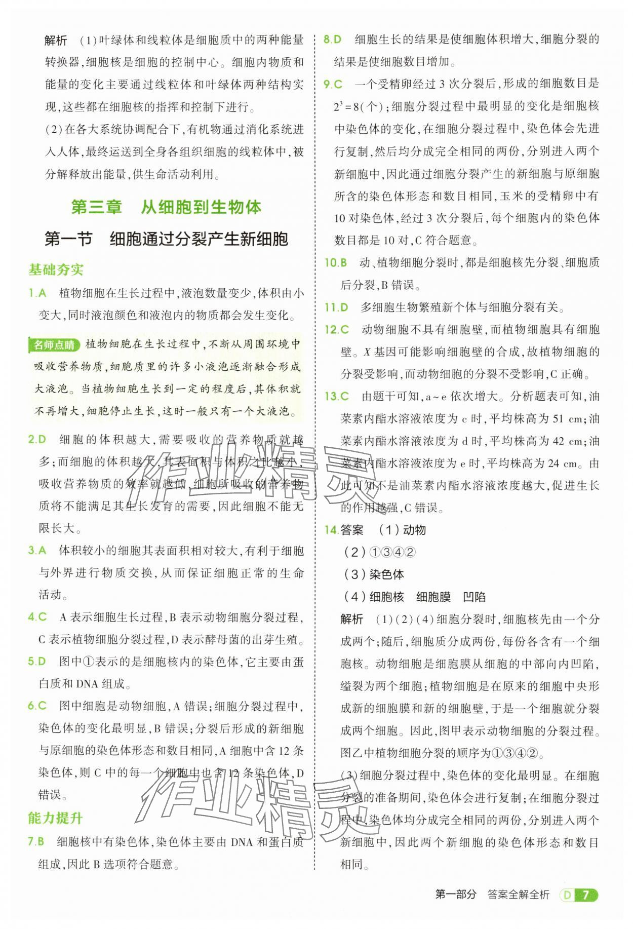 2025年5年中考3年模拟七年级生物上册人教版 参考答案第7页