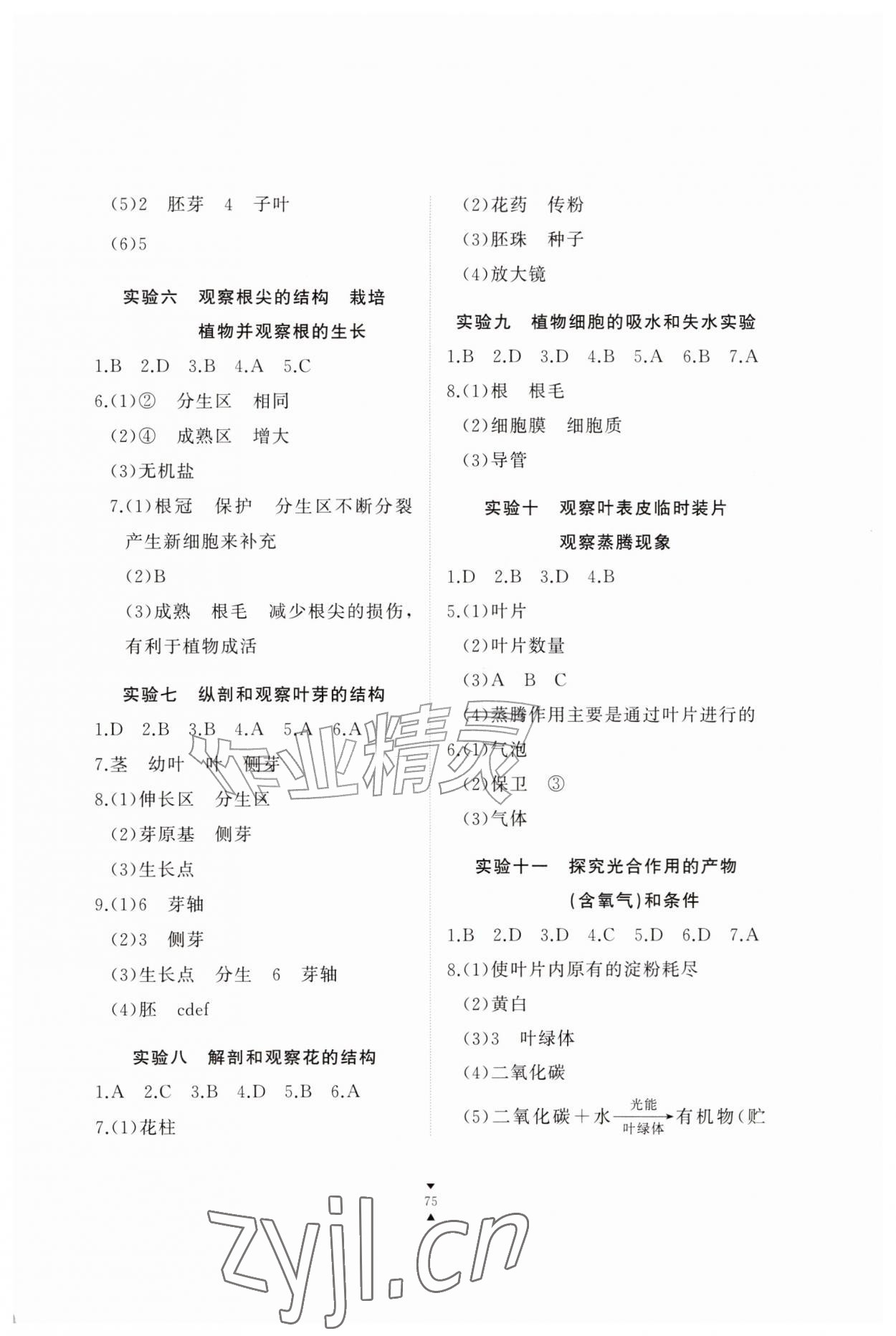 2026年实验报告册江西教育出版社八年级生物上册冀少版&nbsp;参考答案第2页