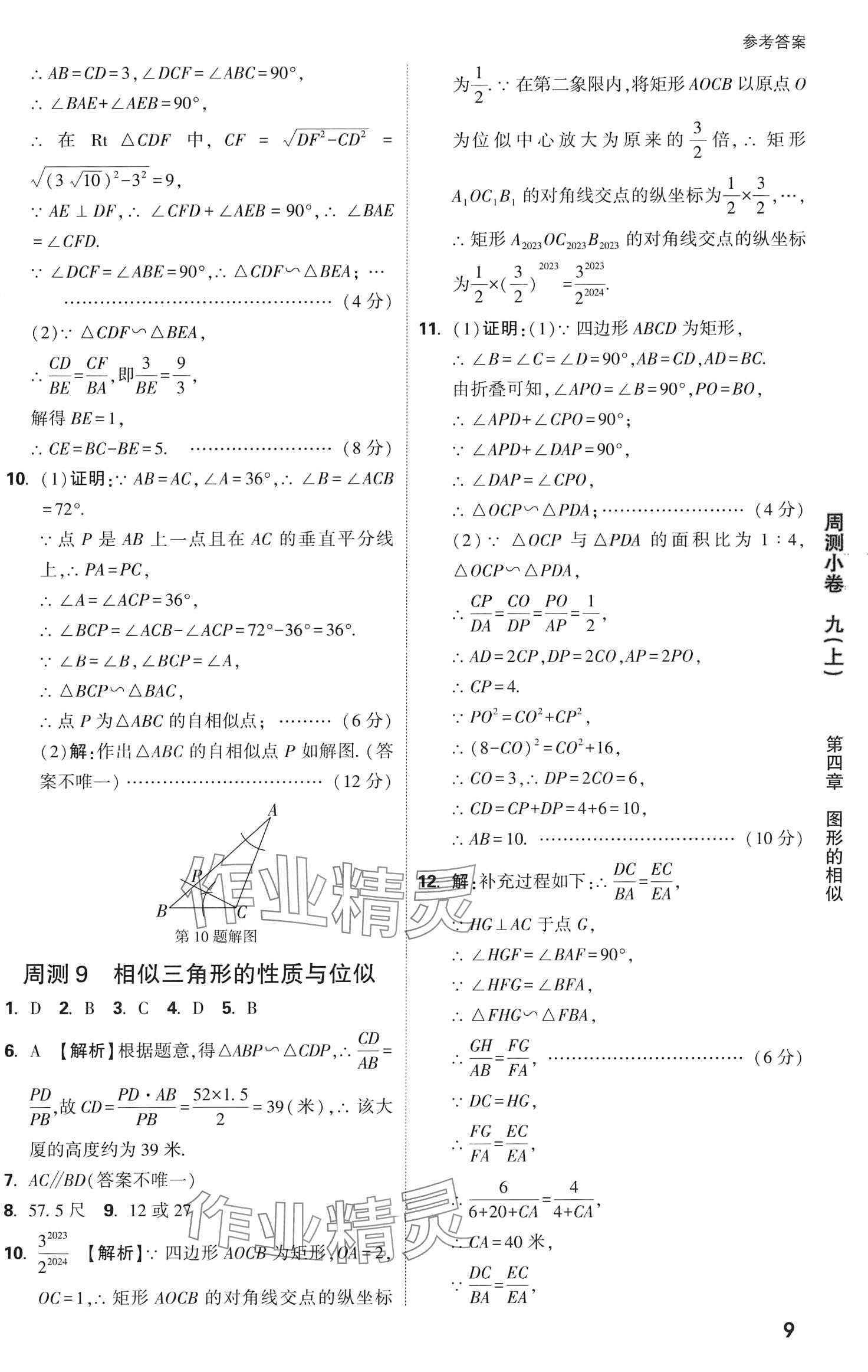 2024年萬(wàn)唯中考大小卷數(shù)學(xué)北師大版 第11頁(yè)