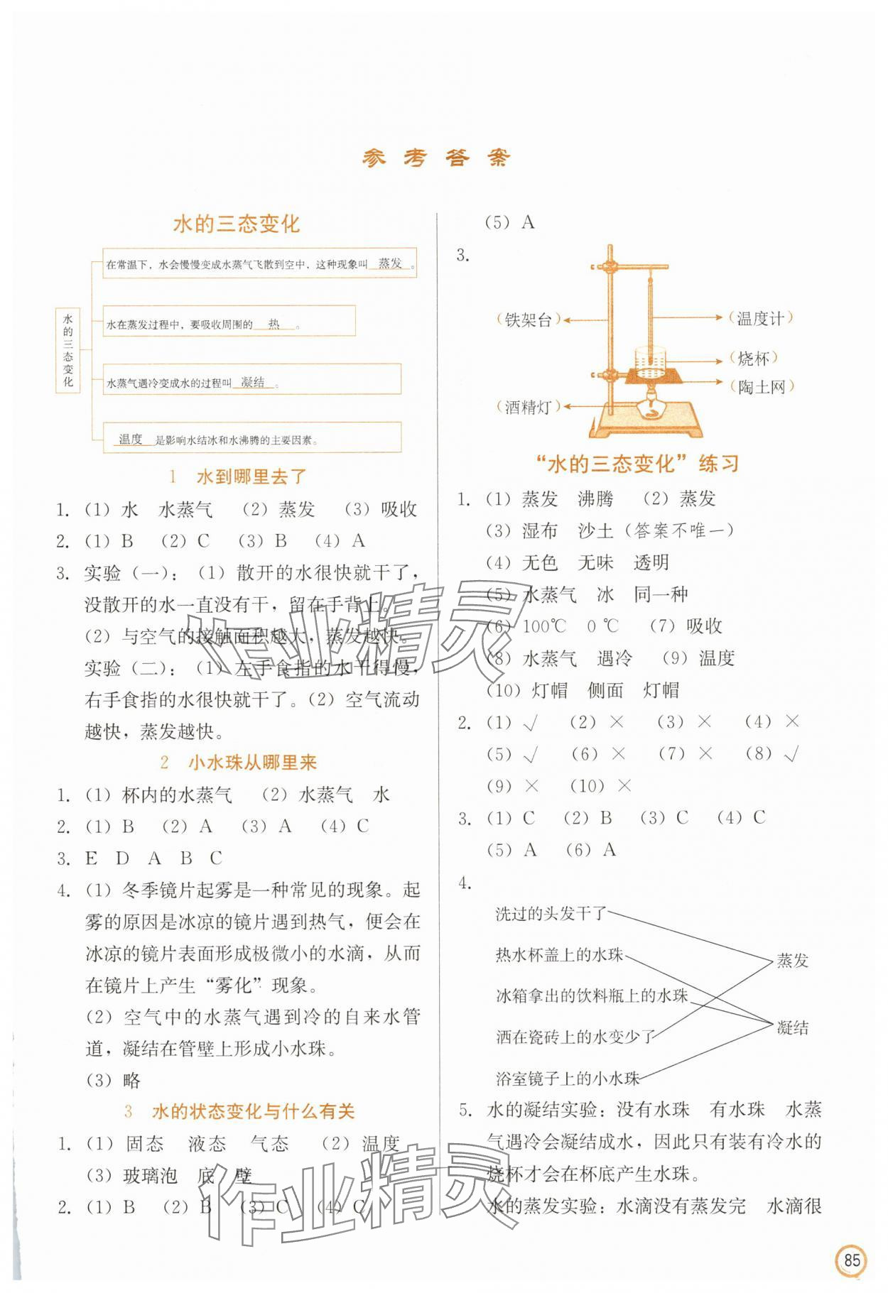 2025年學(xué)生同步訓(xùn)練手冊五年級科學(xué)下冊冀人版 第1頁