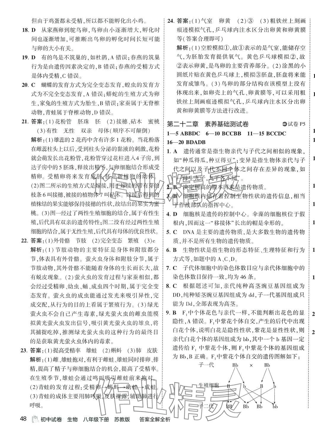 2024年5年中考3年模擬初中試卷八年級(jí)生物下冊(cè)蘇教版 第3頁