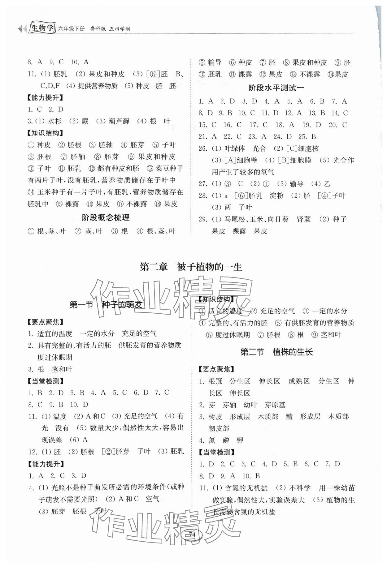 2024年初中同步練習(xí)冊六年級生物學(xué)下冊魯科版54制山東科學(xué)技術(shù)出版社 參考答案第2頁