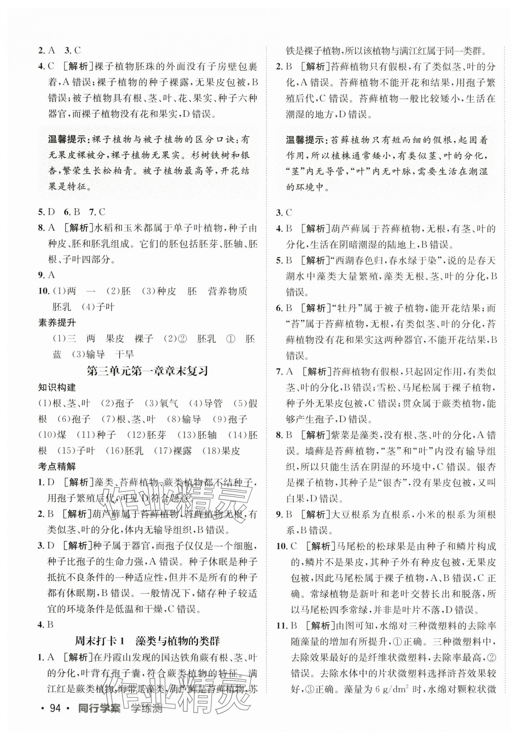 2025年同行學案學練測學練測六年級生物下冊魯科版54制 第3頁