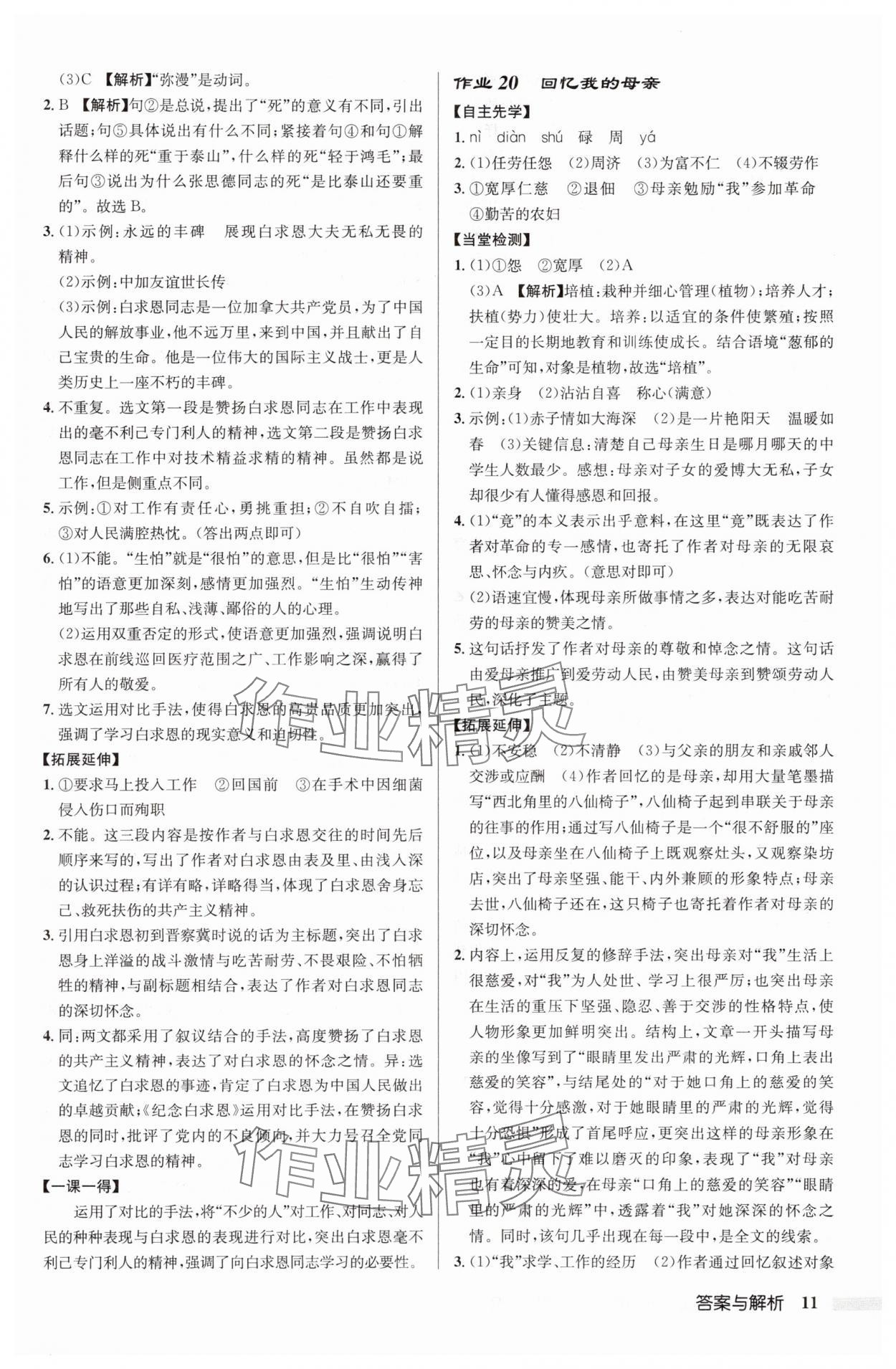 2025年啟東中學作業(yè)本七年級語文上冊人教版 第11頁