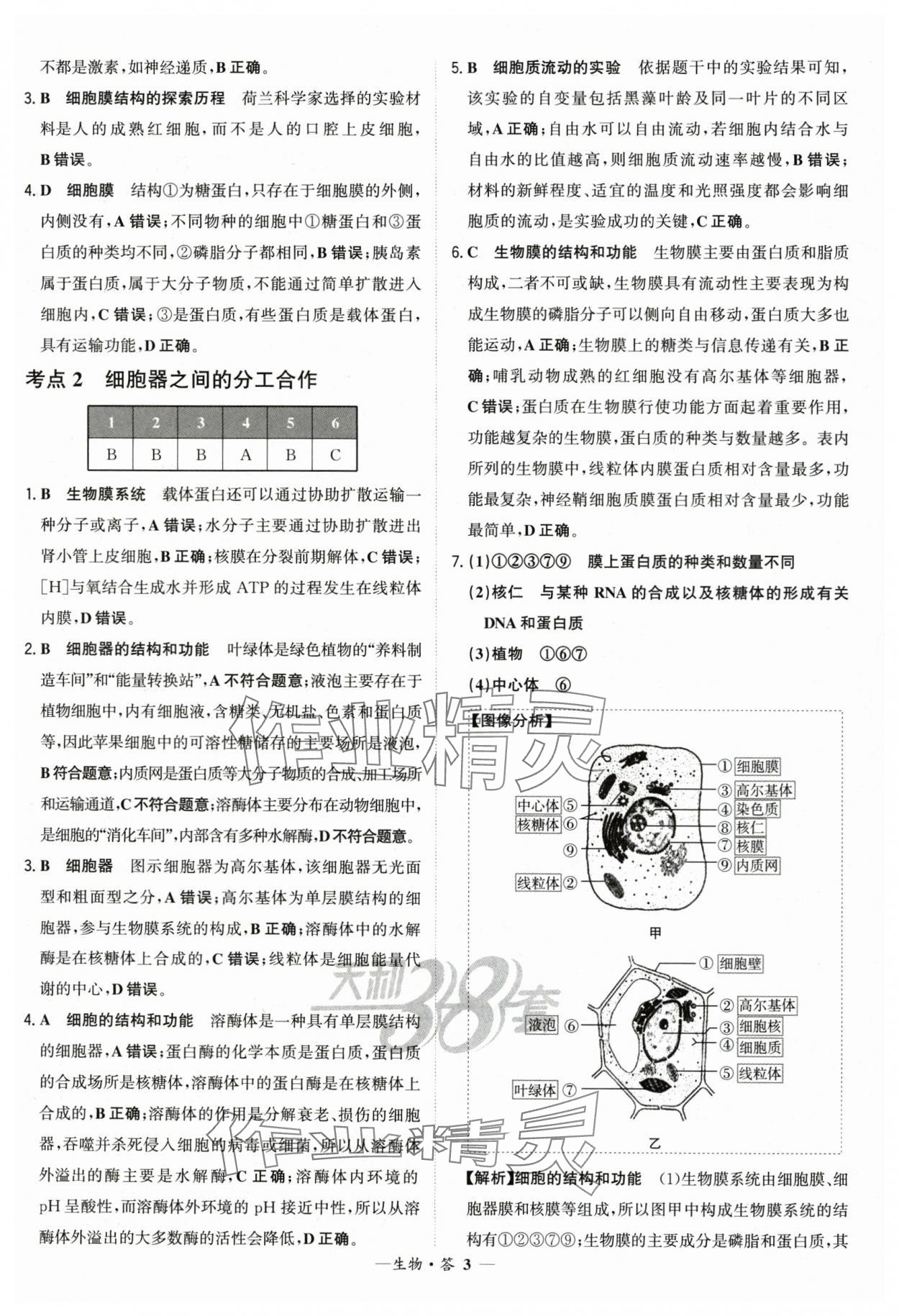 2026年天利38套常考基礎題生物 第3頁