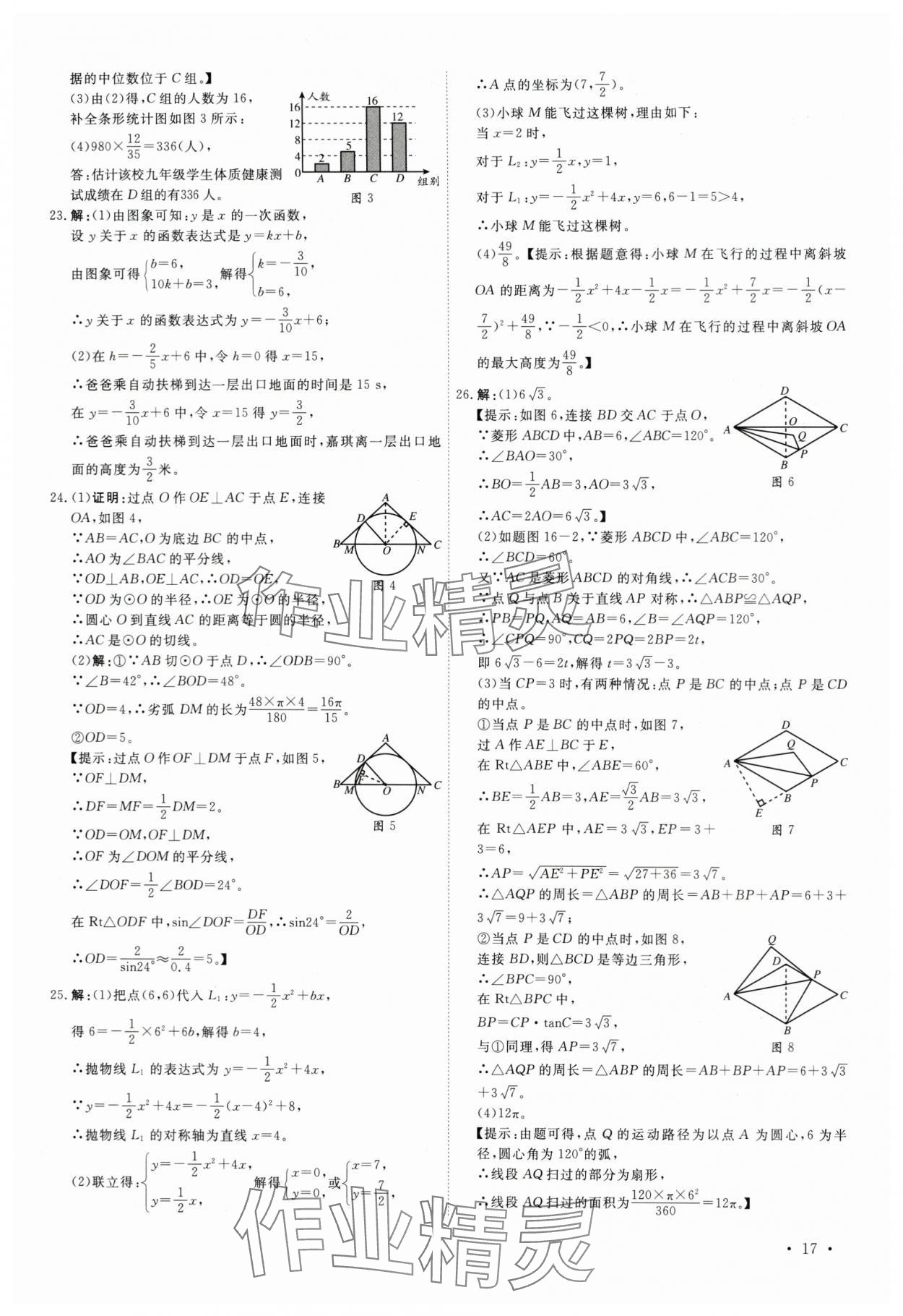 2024年38套中考必備卷數(shù)學(xué)河北專版 參考答案第17頁