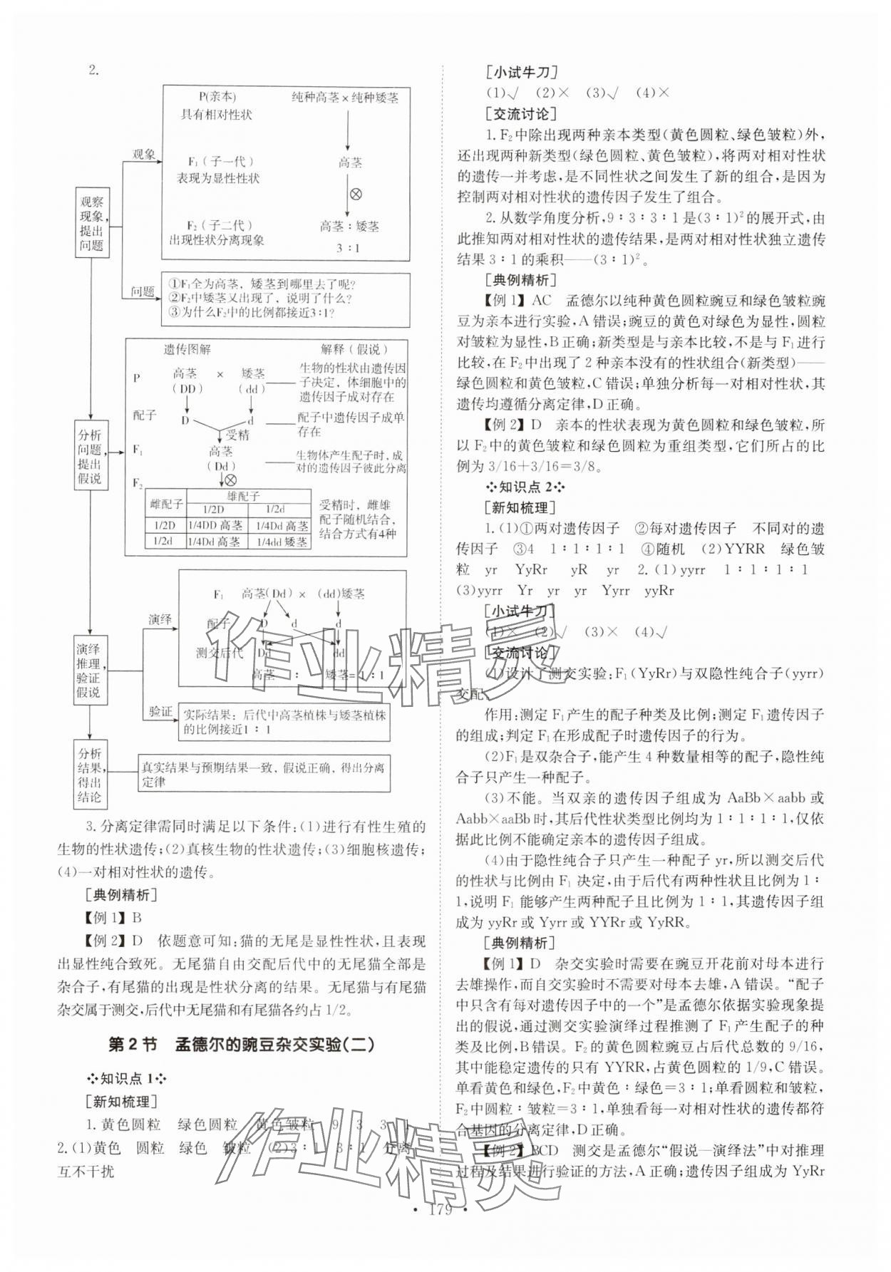 2024年高中同步導(dǎo)練高中生物必修2人教版 參考答案第3頁