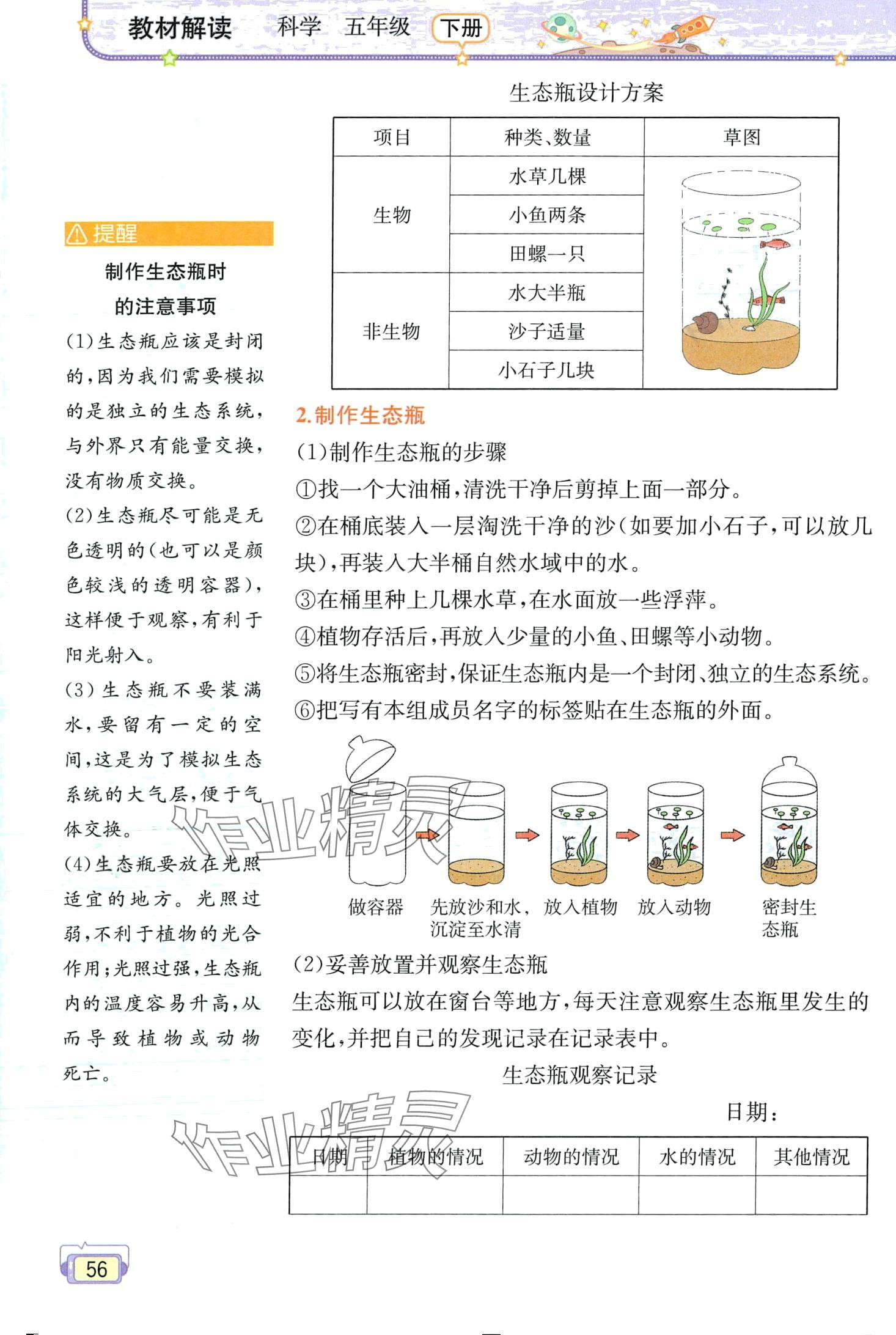 2024年教材課本五年級(jí)科學(xué)下冊(cè)教科版 第56頁(yè)