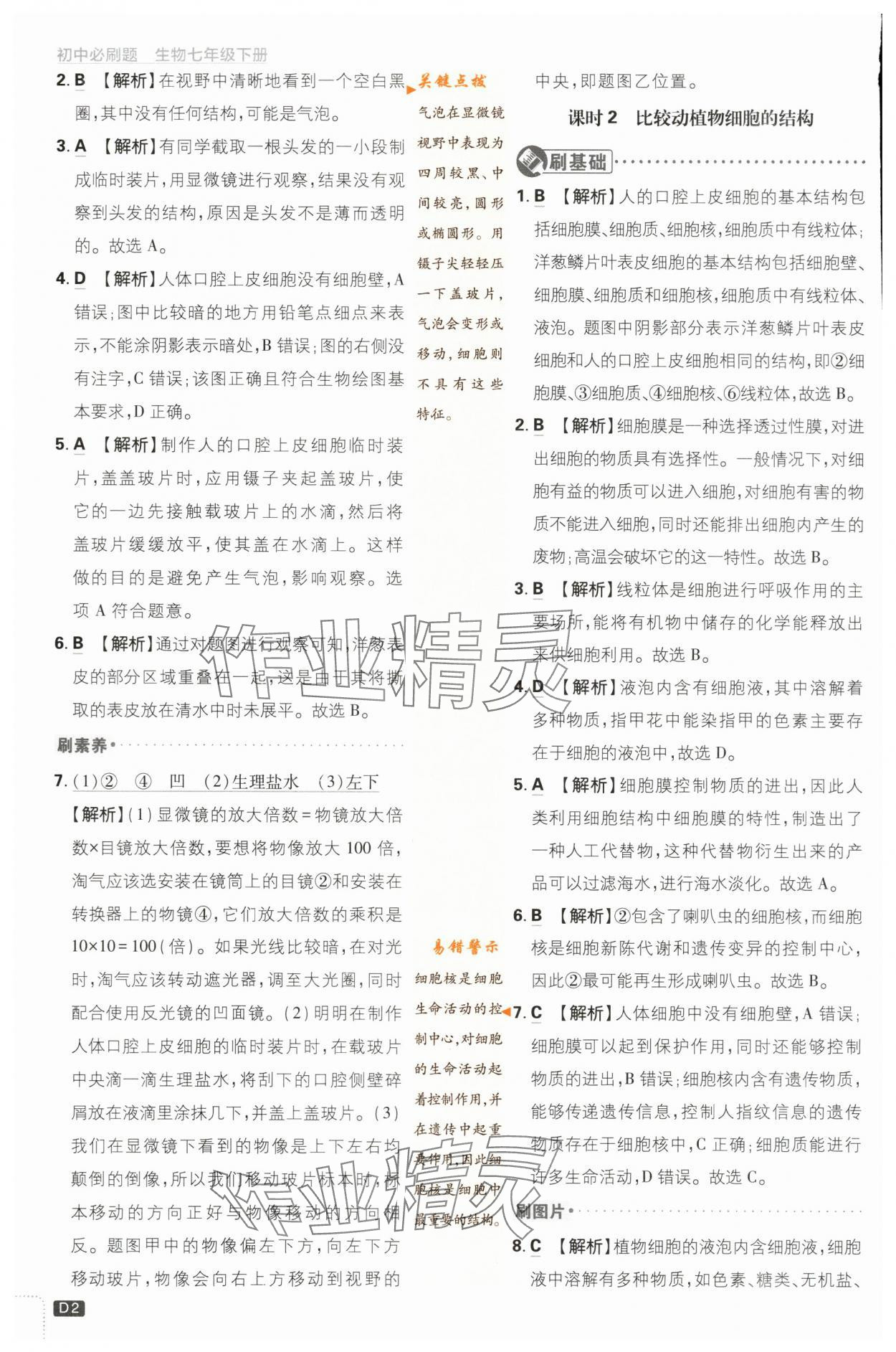 2024年初中必刷題七年級生物下冊蘇教版 第2頁