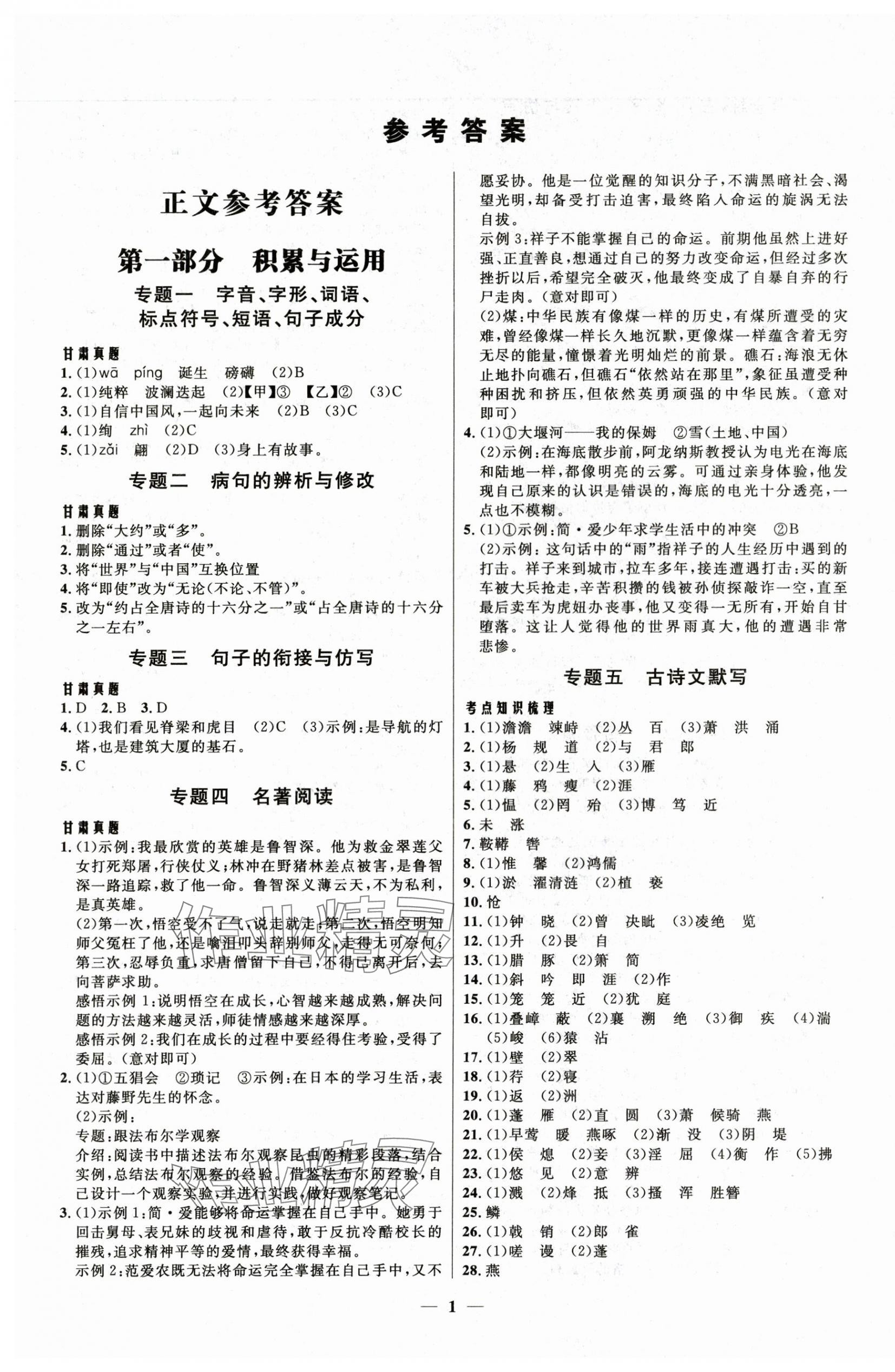 2025年中考優品學案語文 第1頁