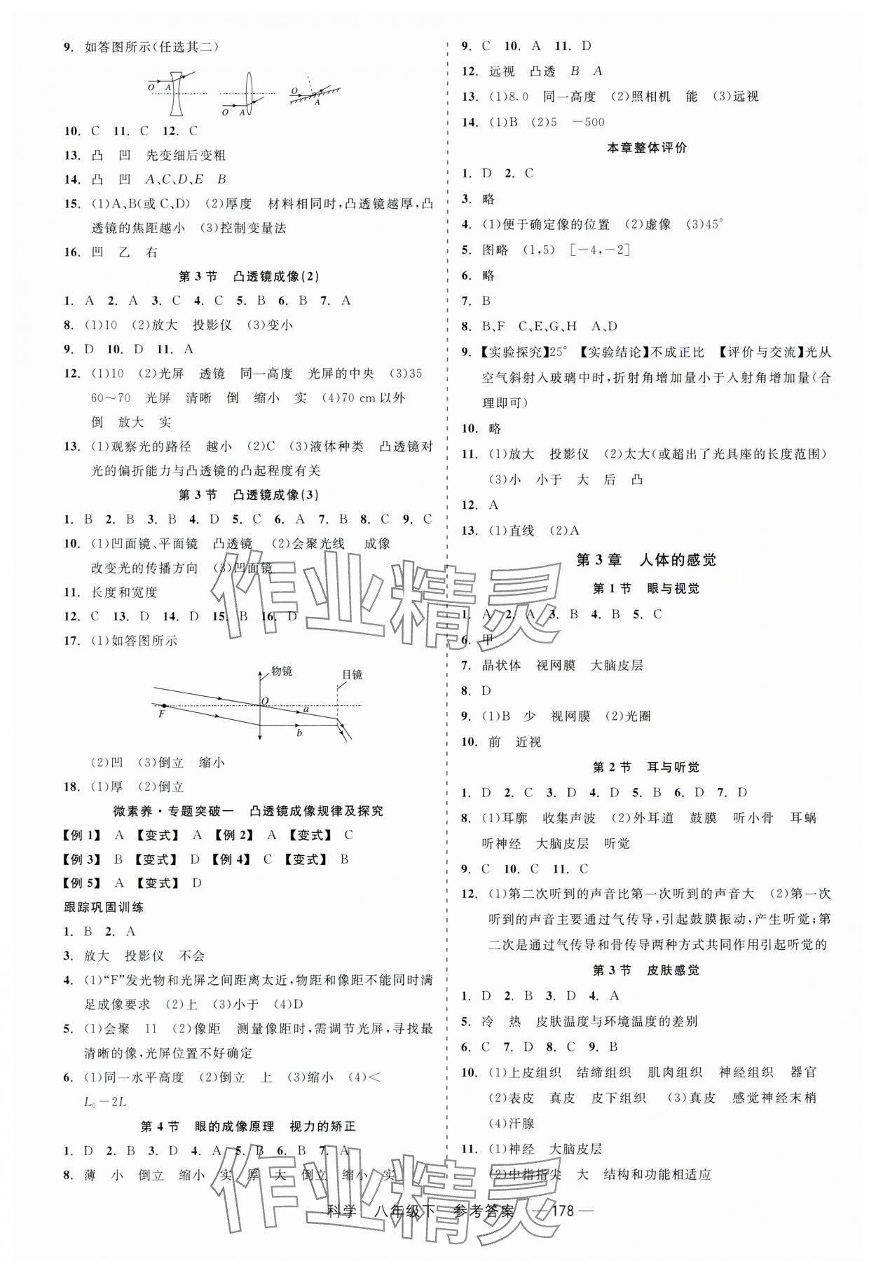 2024年精彩练习就练这一本八年级科学下册华师大版 第2页