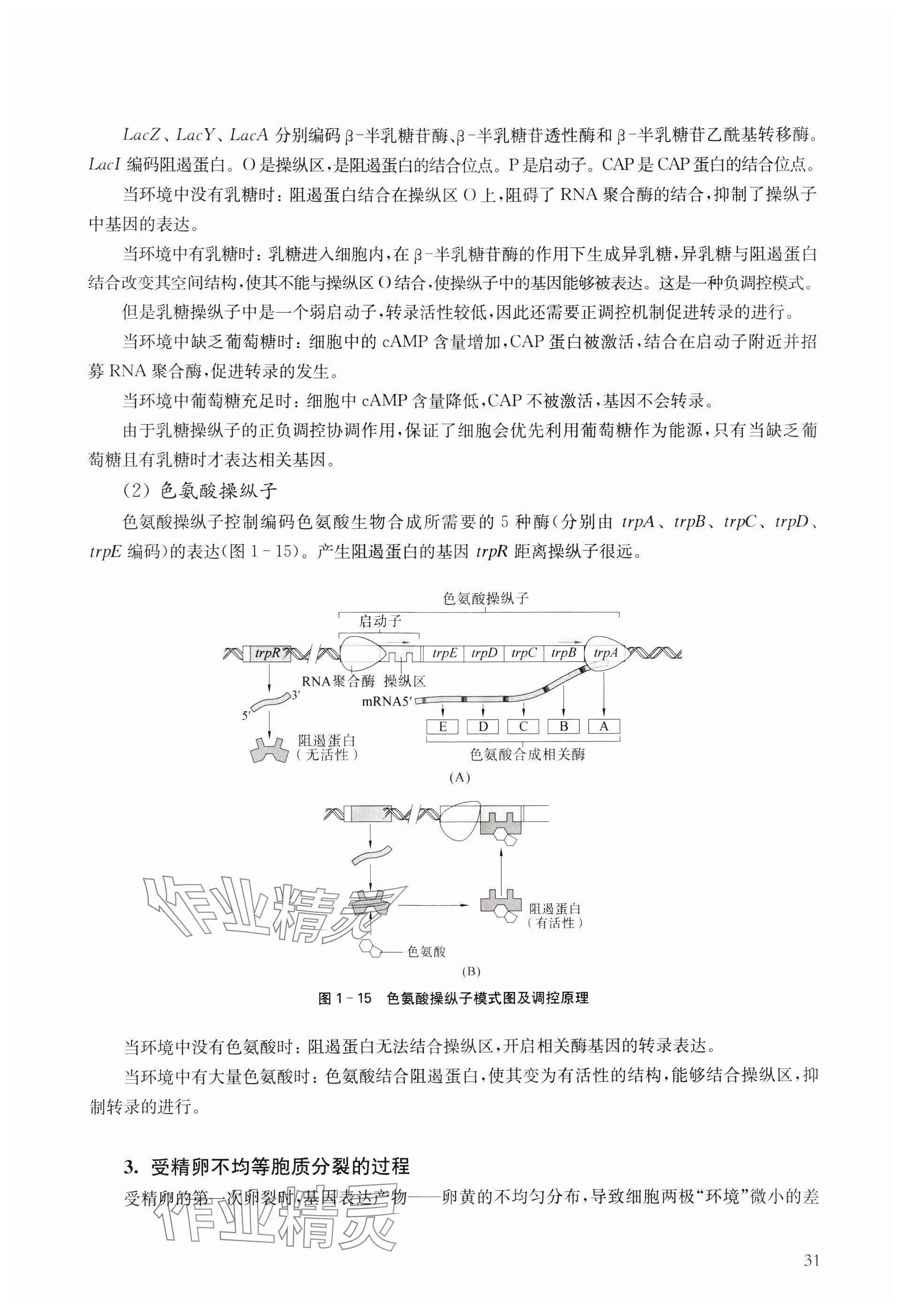 2024年教材課本高中生物必修2滬教版 參考答案第31頁(yè)