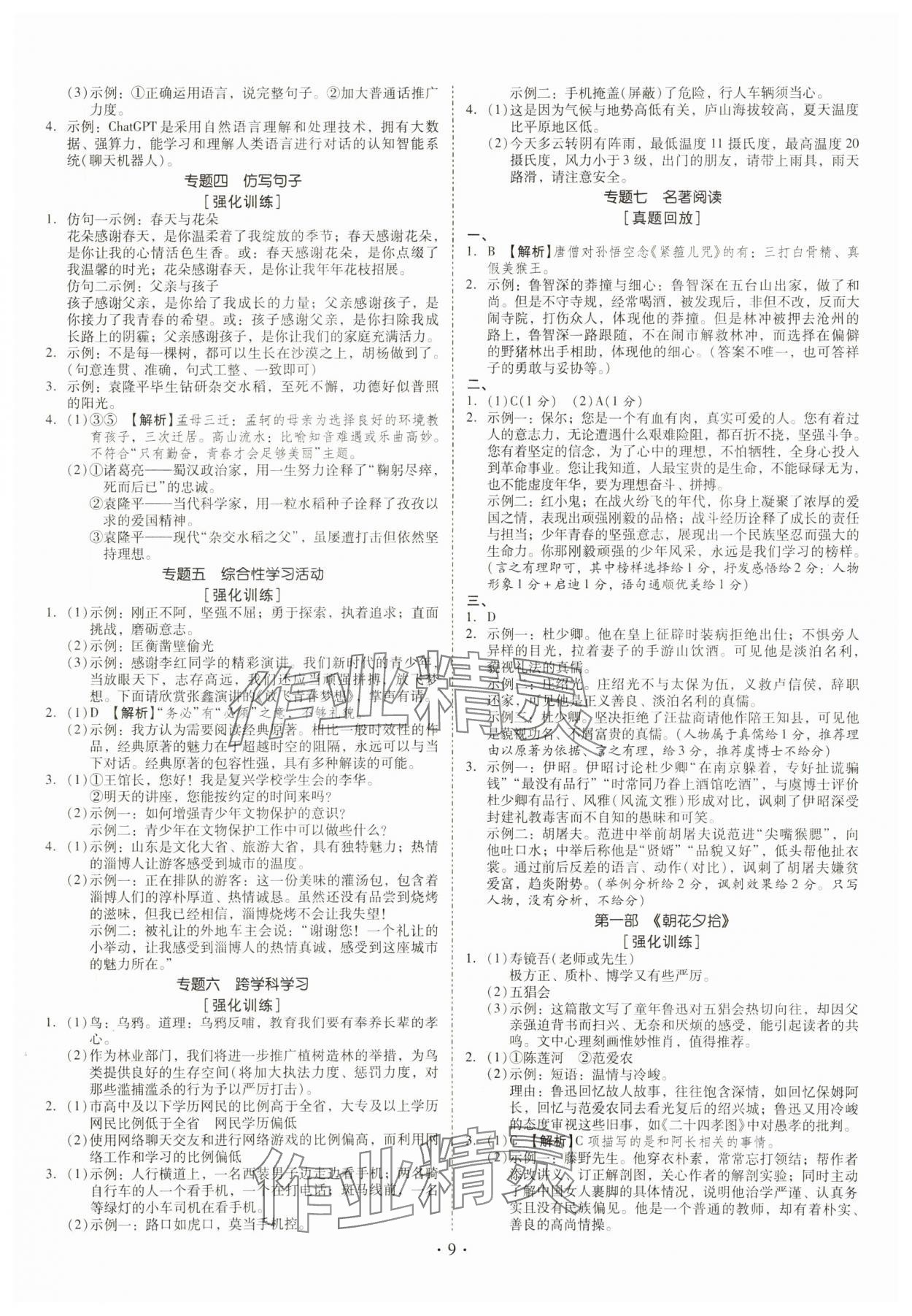 2024年金牌中考總復習語文&nbsp;第9頁