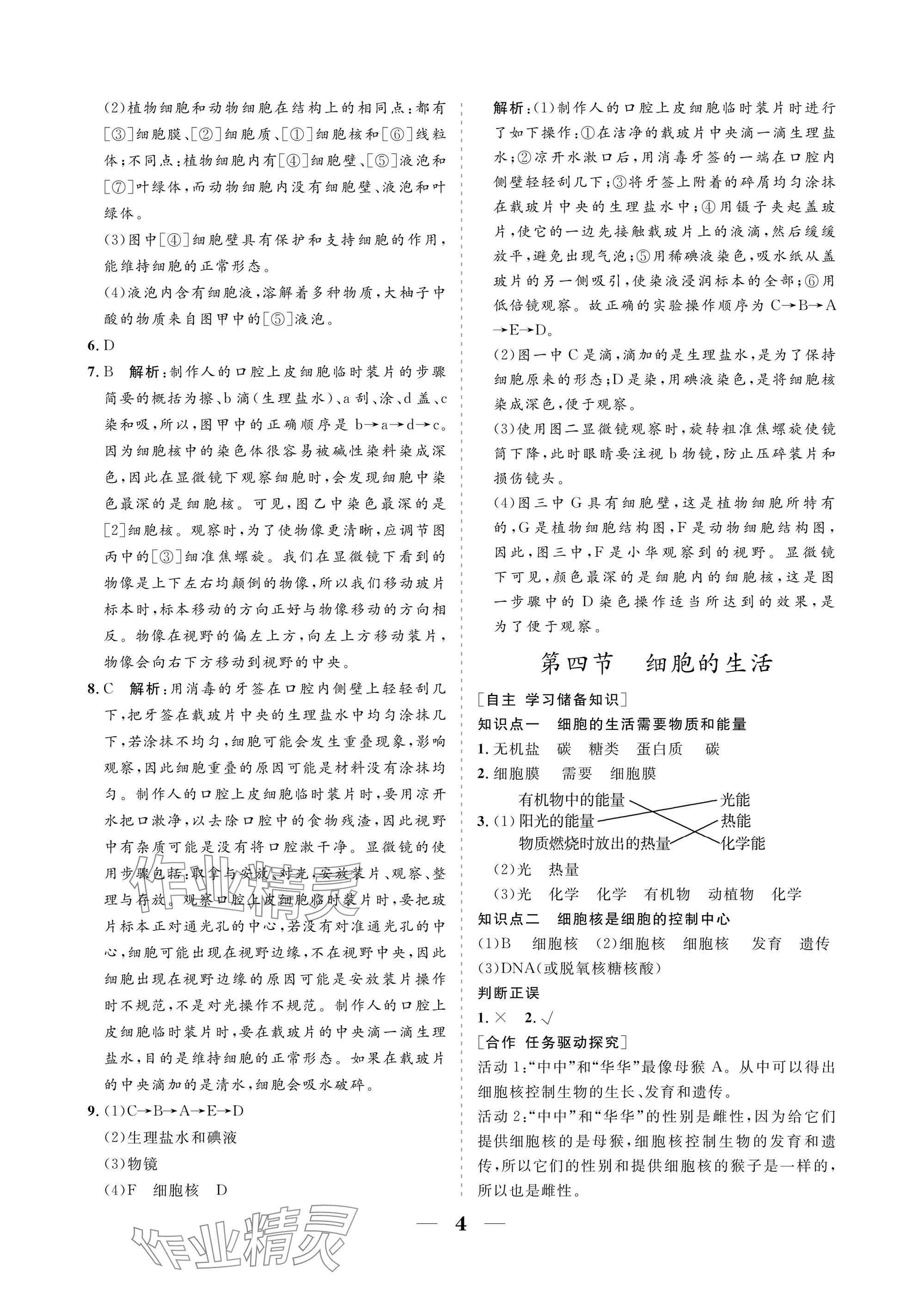2025年配套綜合練習(xí)甘肅七年級(jí)生物上冊(cè)人教版&nbsp;參考答案第4頁(yè)
