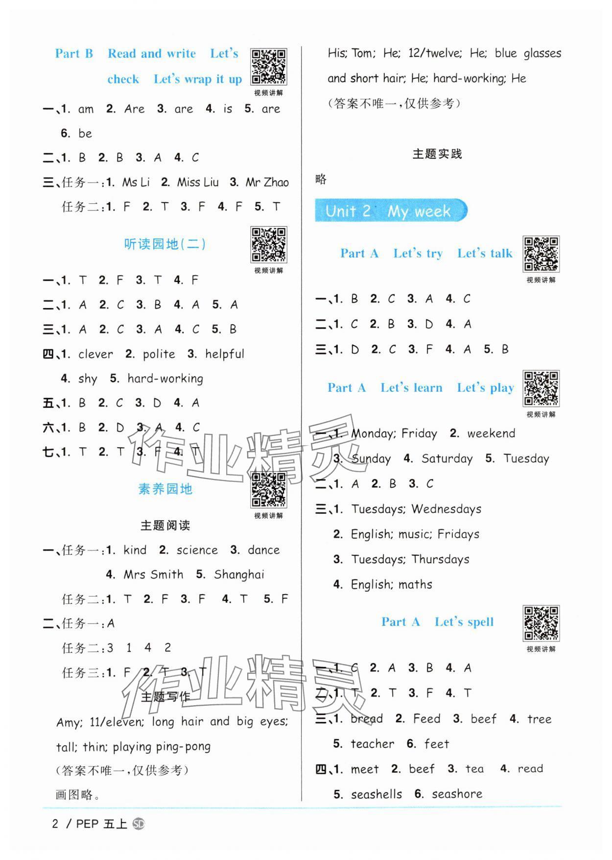 2025年阳光同学课时优化作业四年级英语上册人教PEP版山东专版 第2页