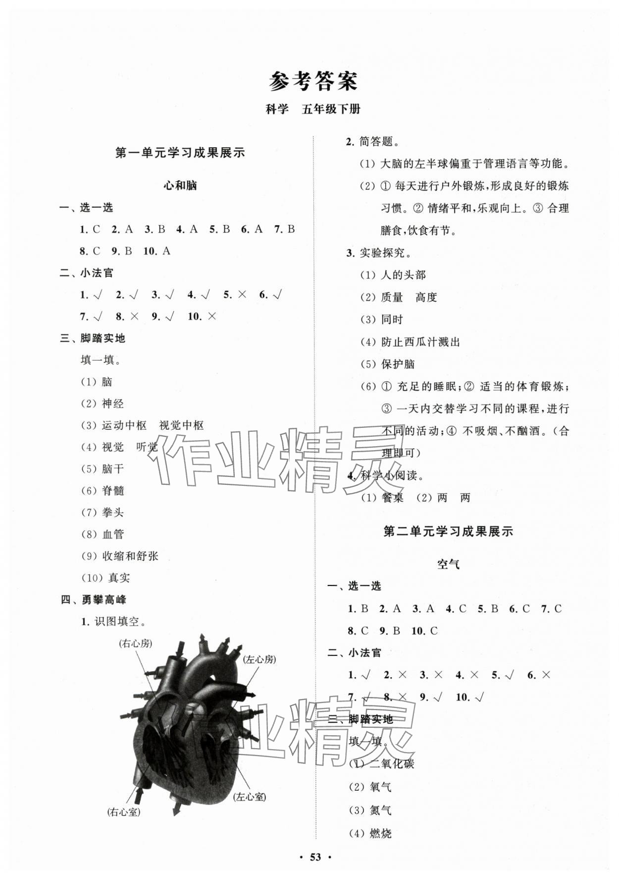 2024年同步練習(xí)冊(cè)分層指導(dǎo)五年級(jí)科學(xué)下冊(cè)青島版 第1頁(yè)