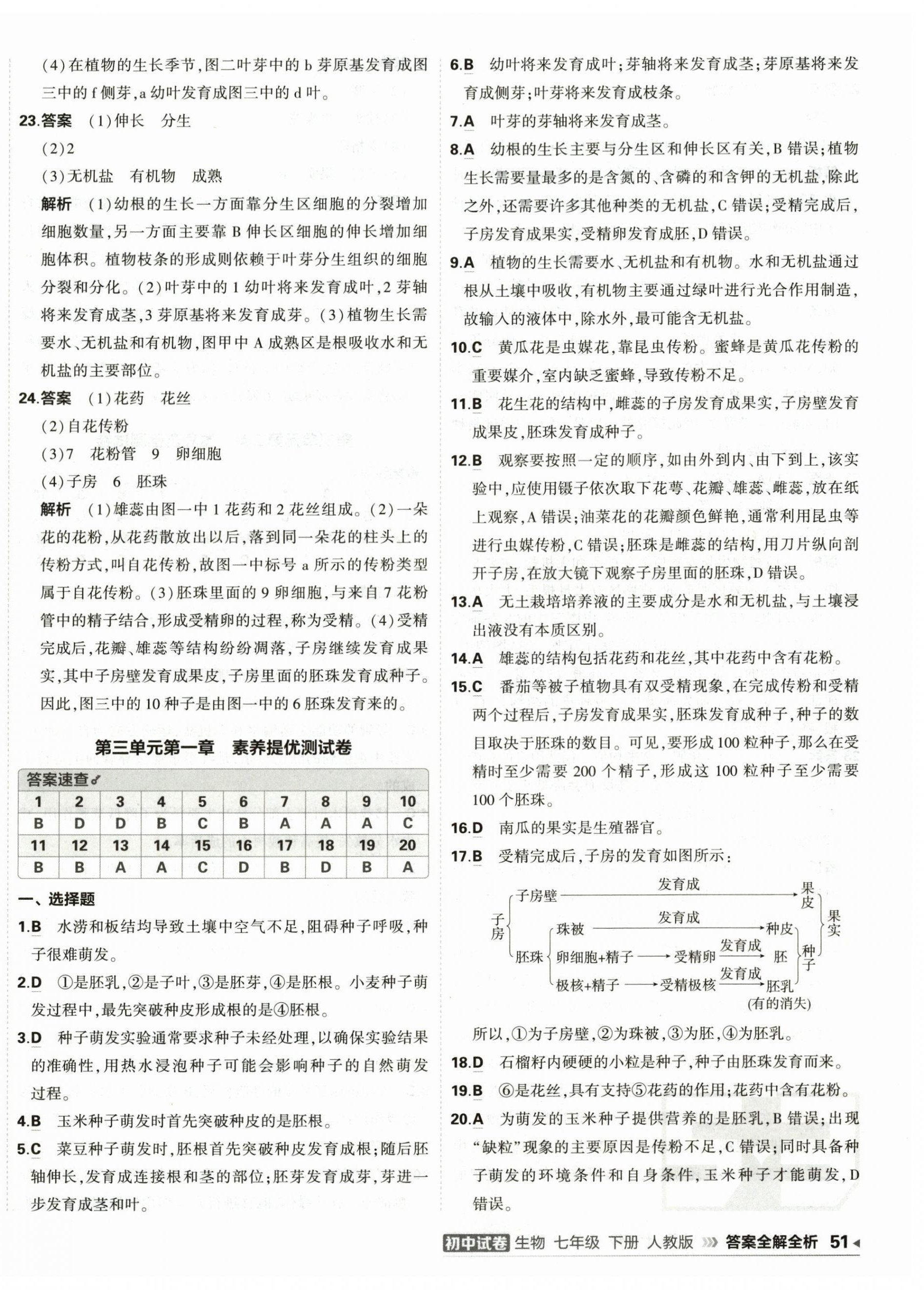 2026年5年中考3年模拟初中试卷七年级生物下册人教版&nbsp;第2页