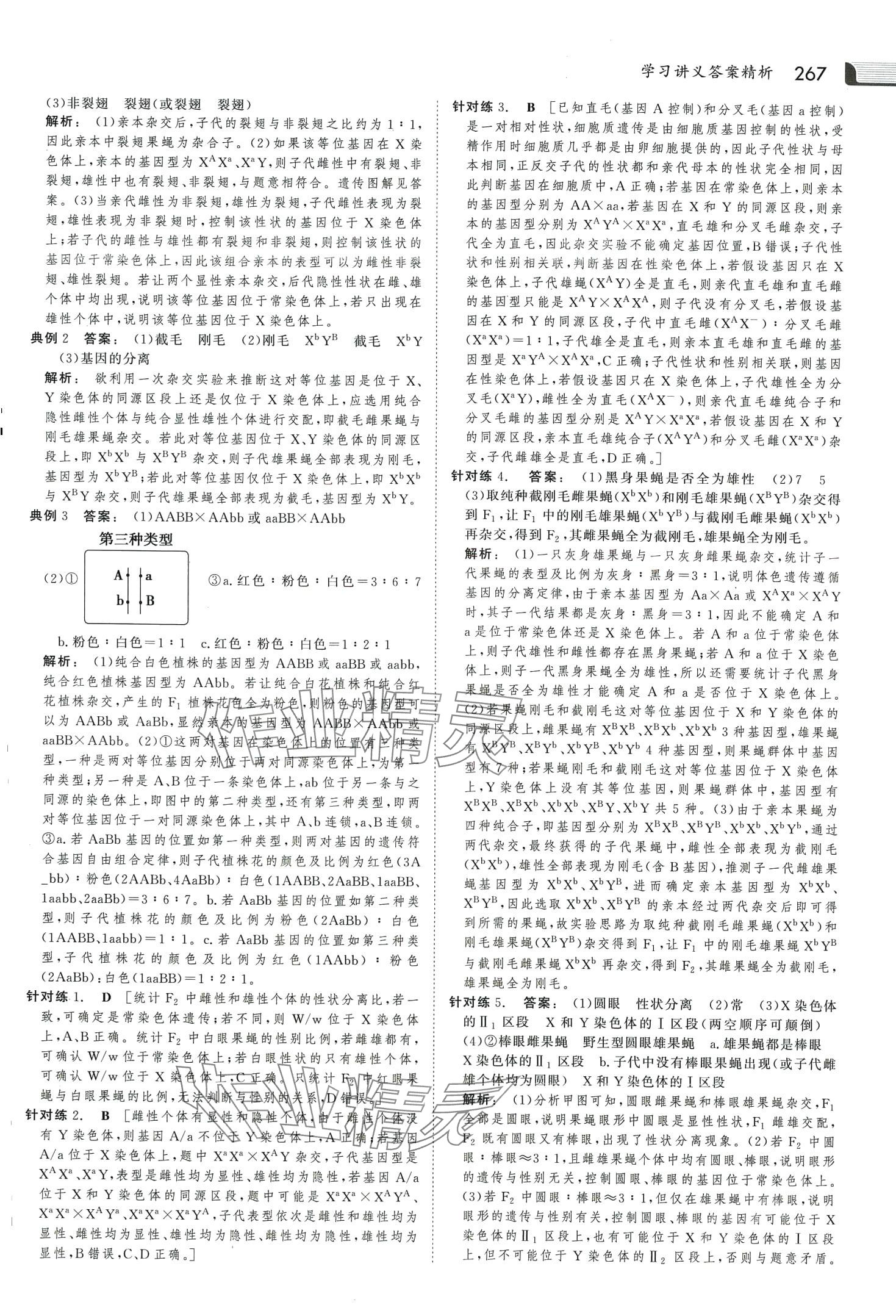 2024年金版新學案高中生物必修2人教版 第14頁