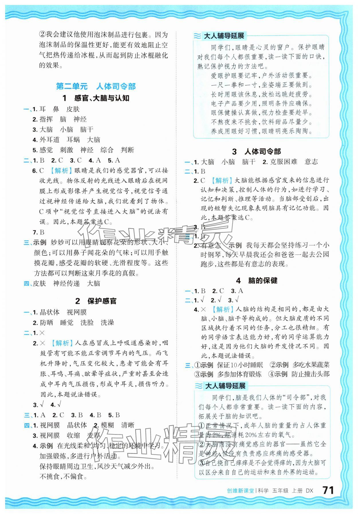 2025年創維新課堂五年級科學上冊大象版 參考答案第3頁