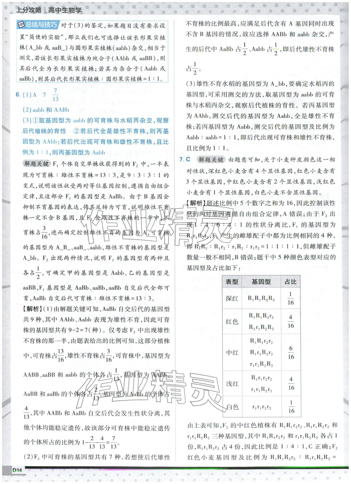 2025年上分攻略高中生物必修第二冊人教版&nbsp;第14頁